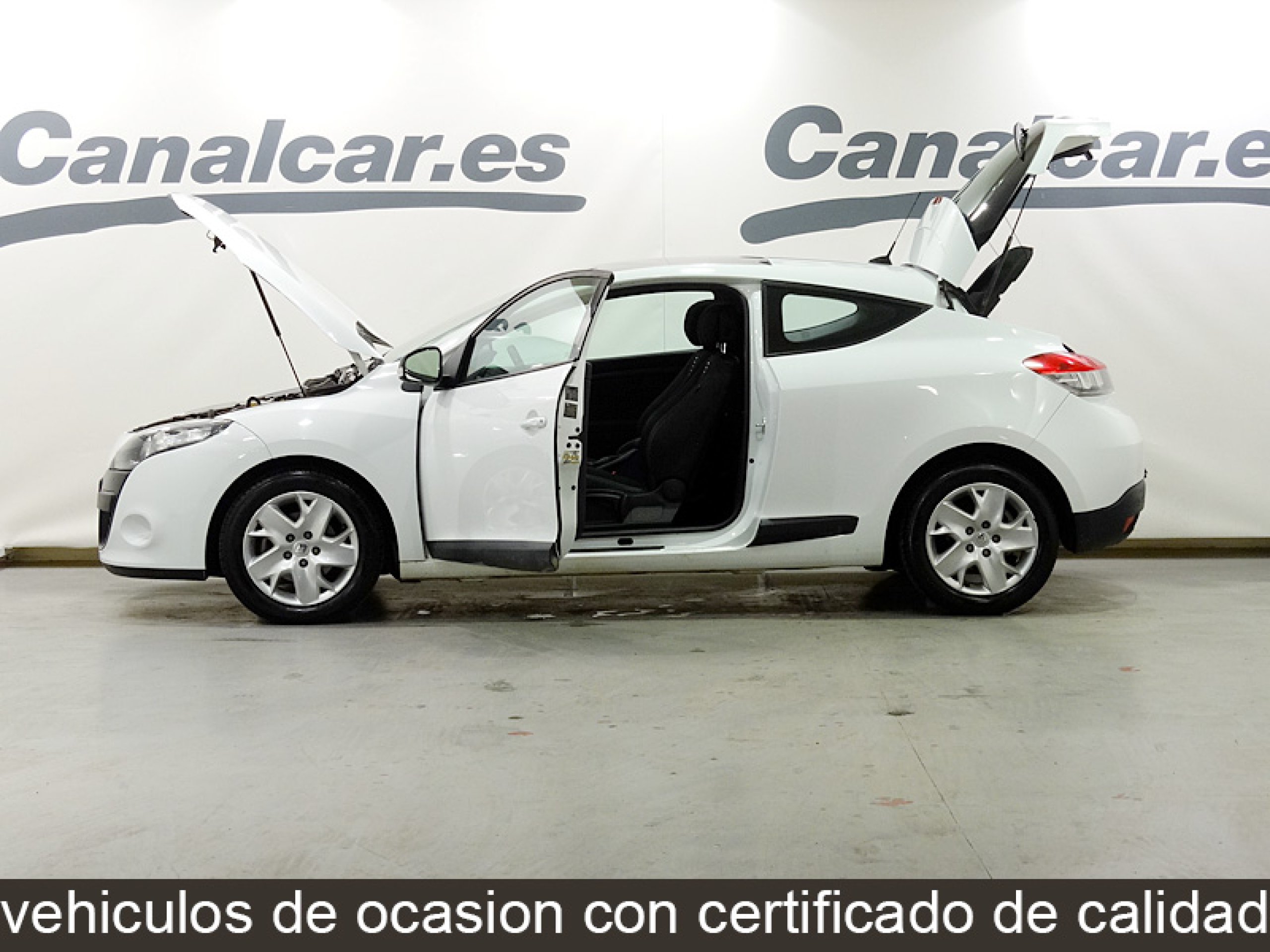 Foto Renault Megane 11