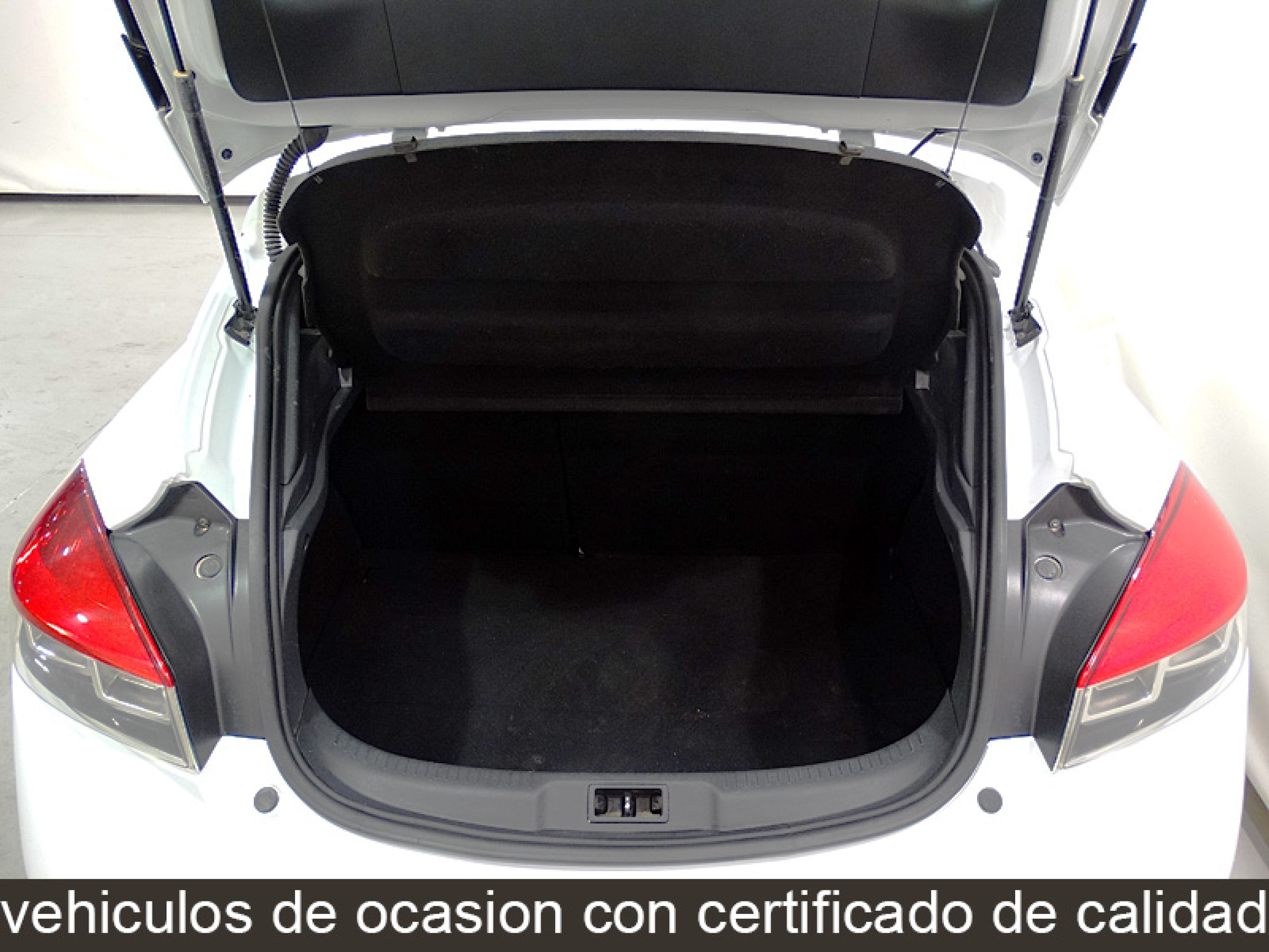 Foto Renault Megane 17