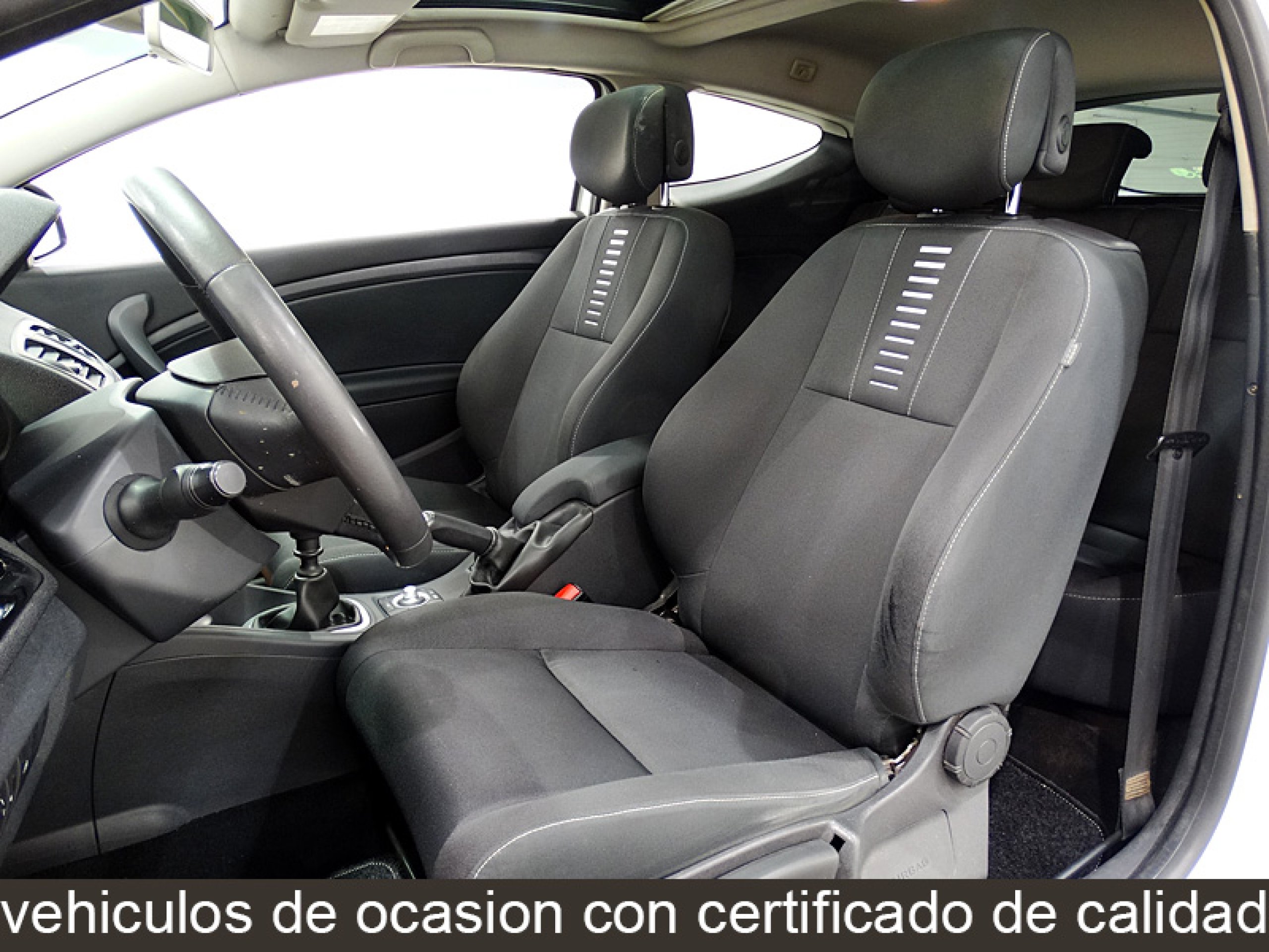 Foto Renault Megane 19