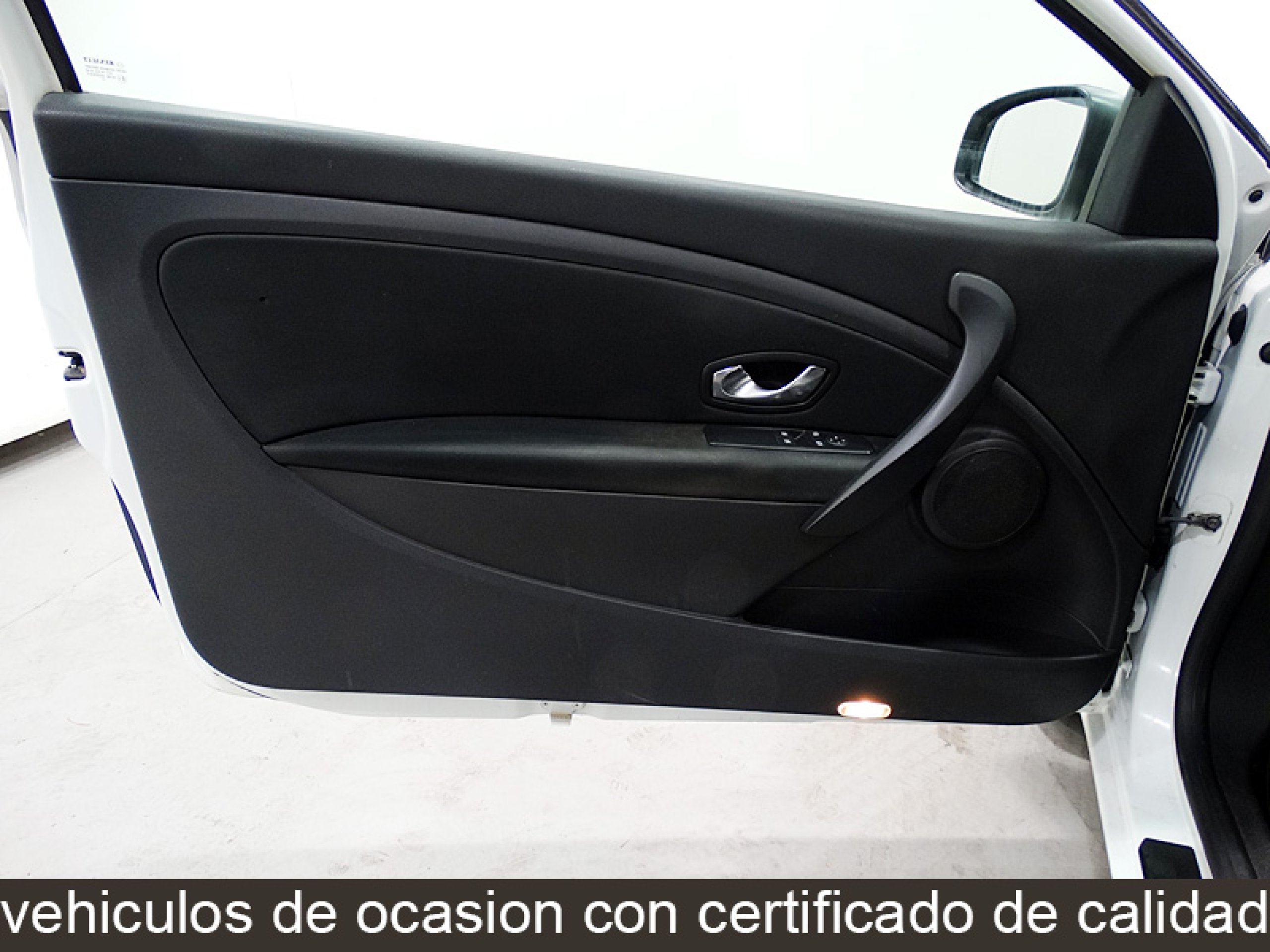 Foto Renault Megane 22