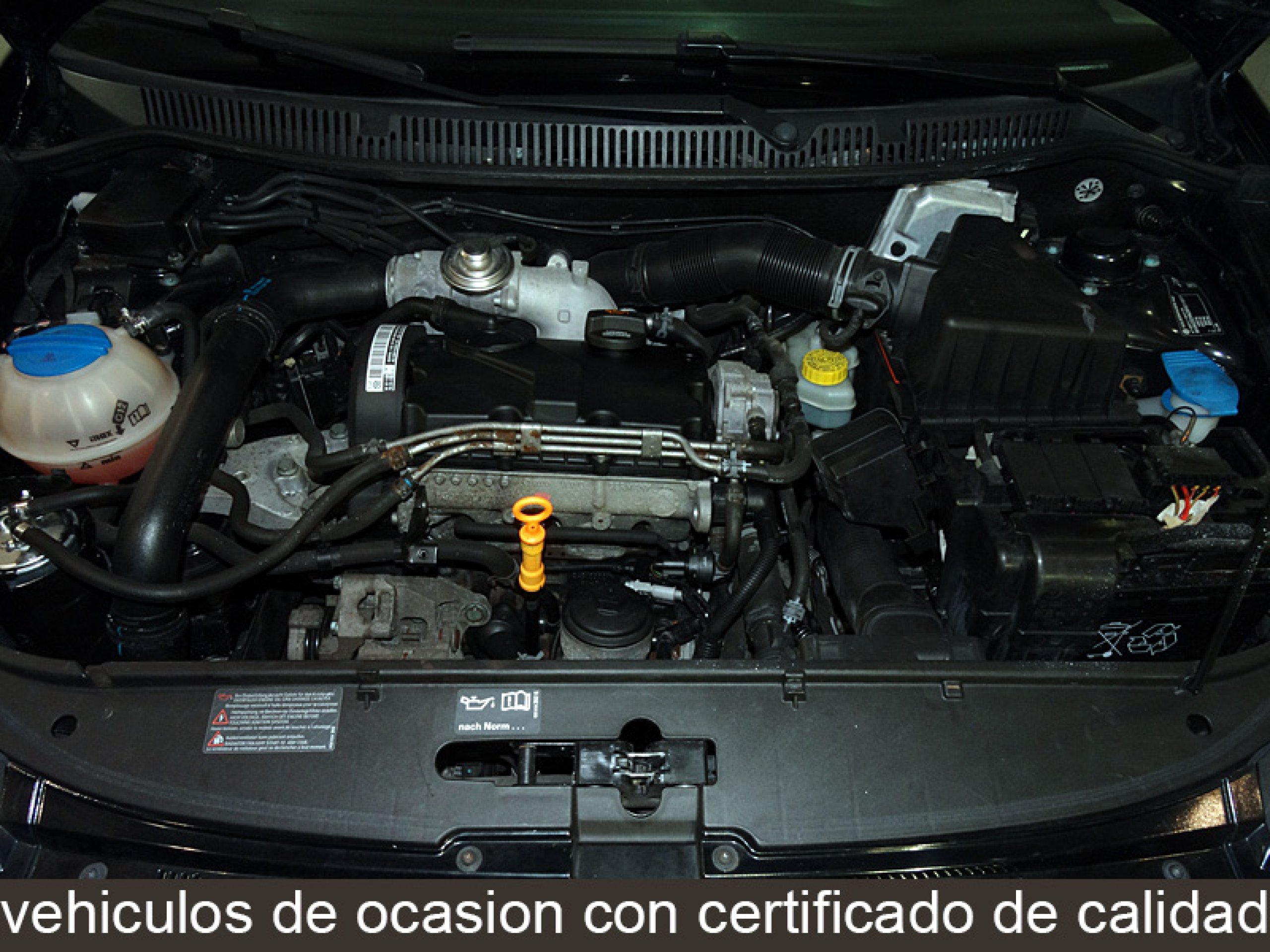 Foto Volkswagen Polo 9
