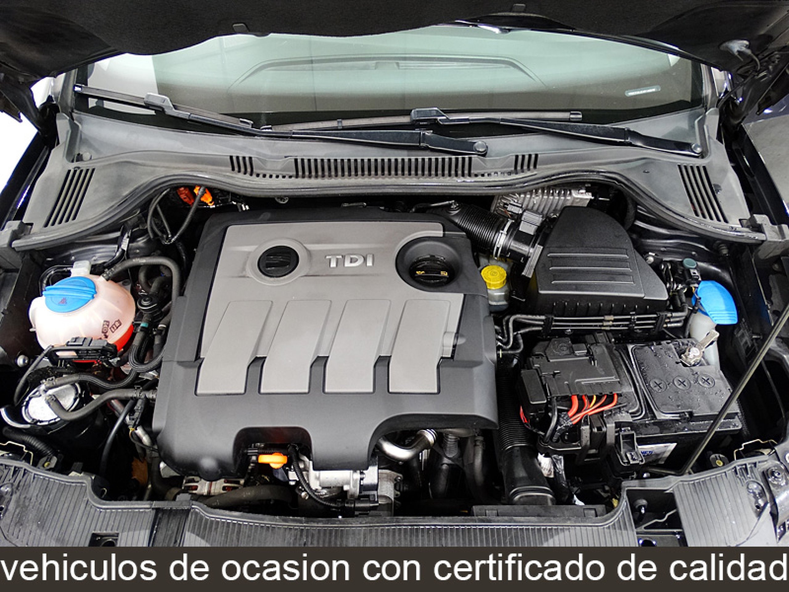 Foto Seat Ibiza 15