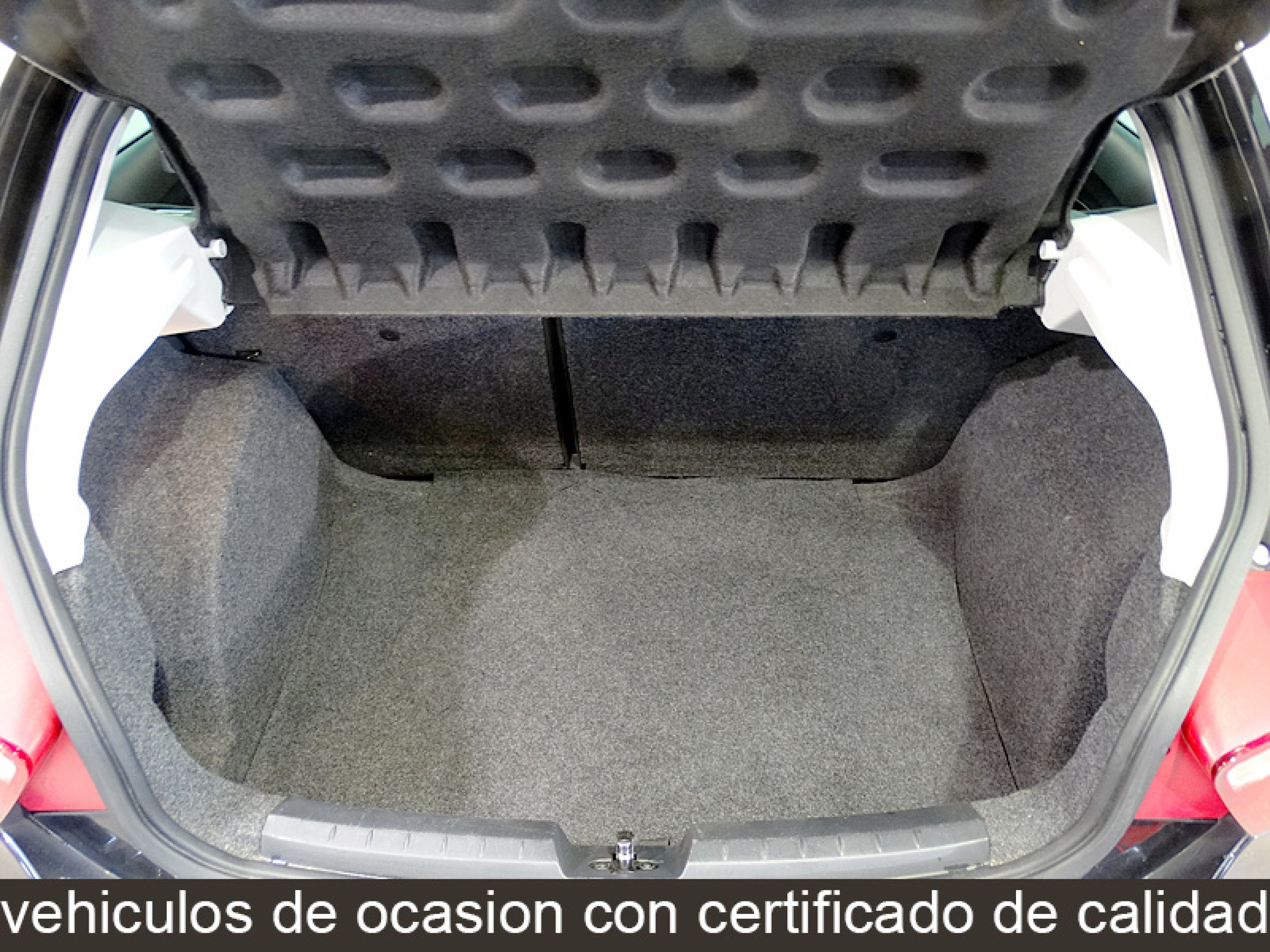 Foto Seat Ibiza 16