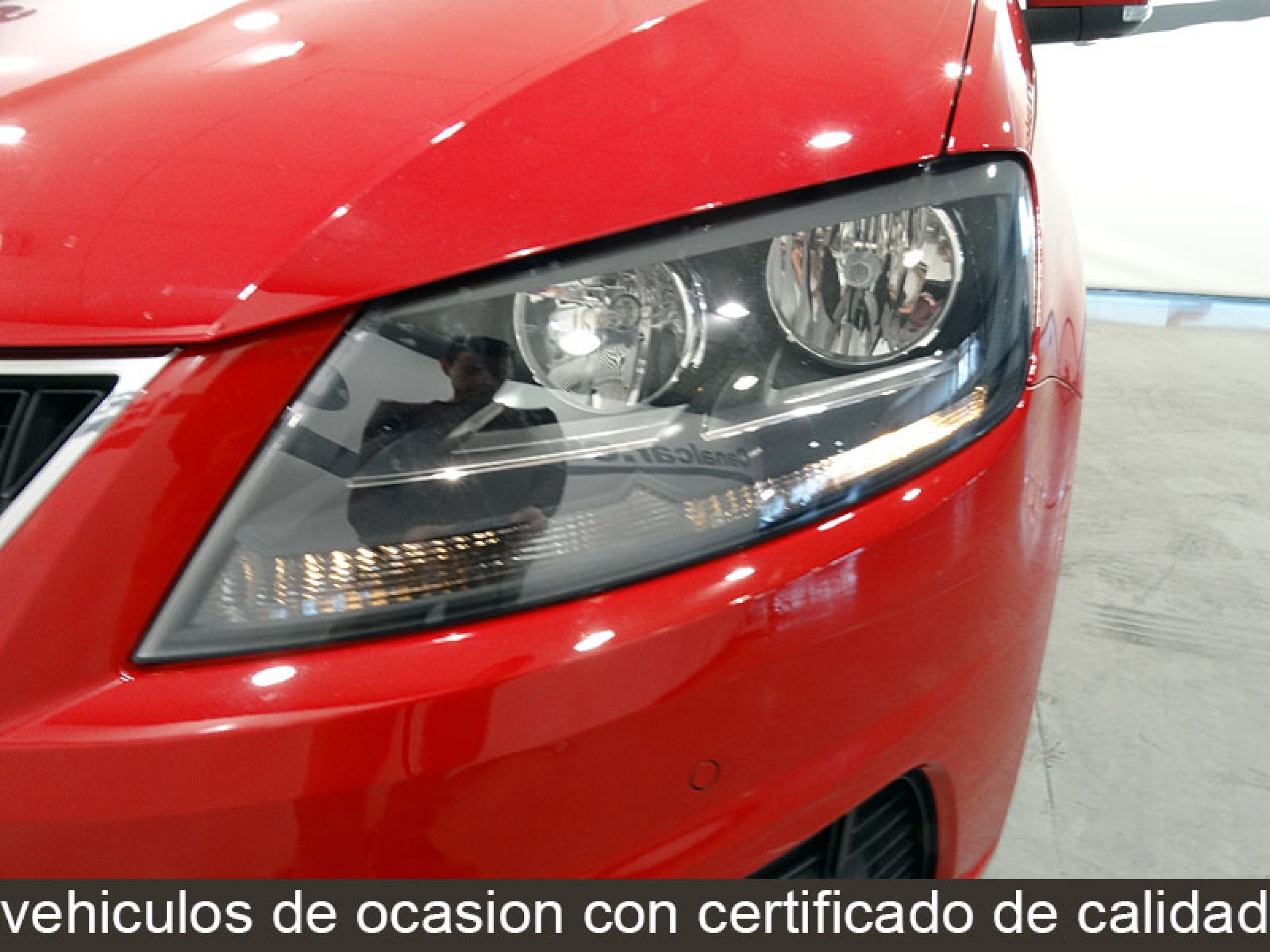 Foto Seat Alhambra 29