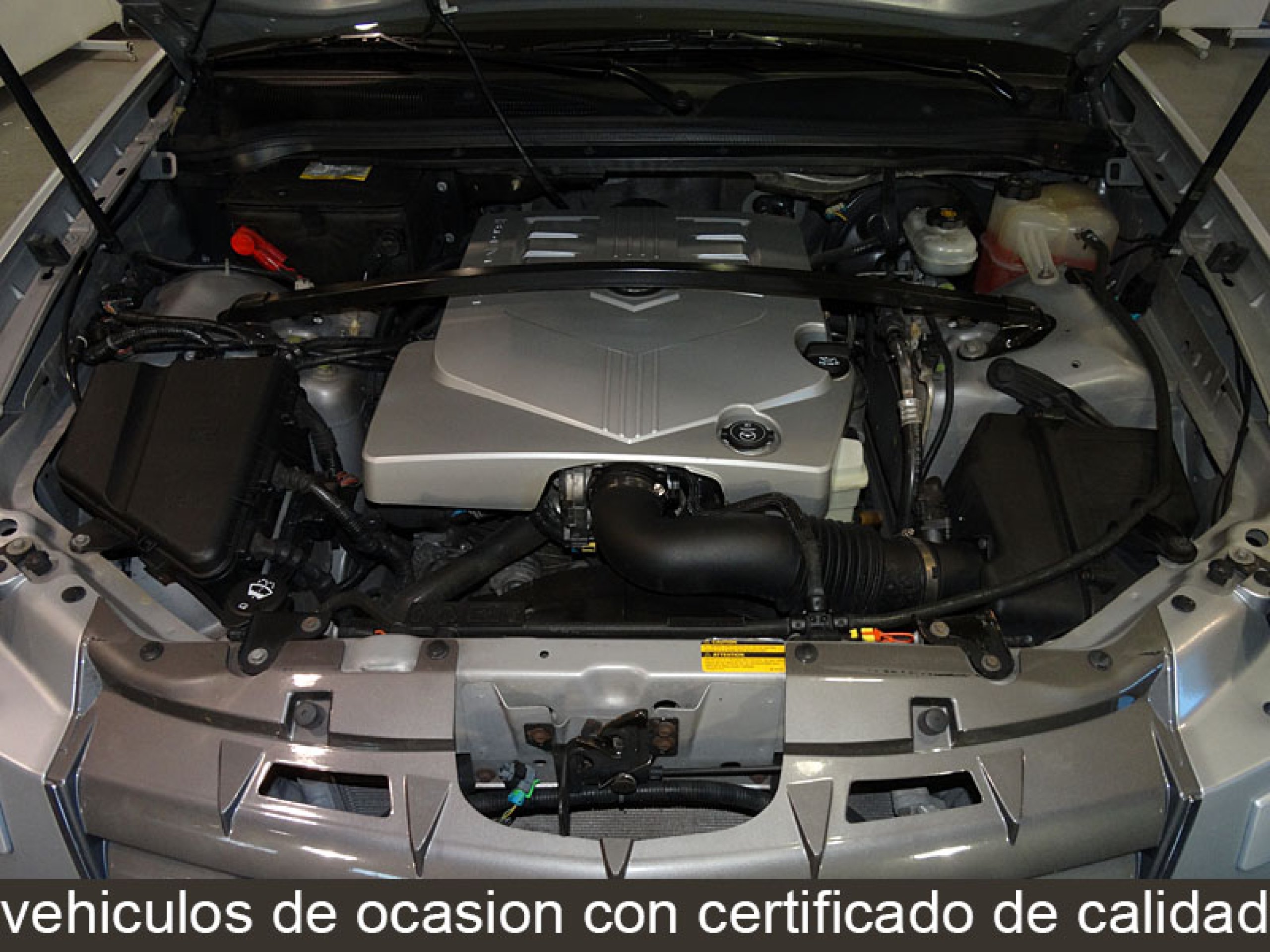 Foto Cadillac SRX 8 Foto Cadillac SRX 8