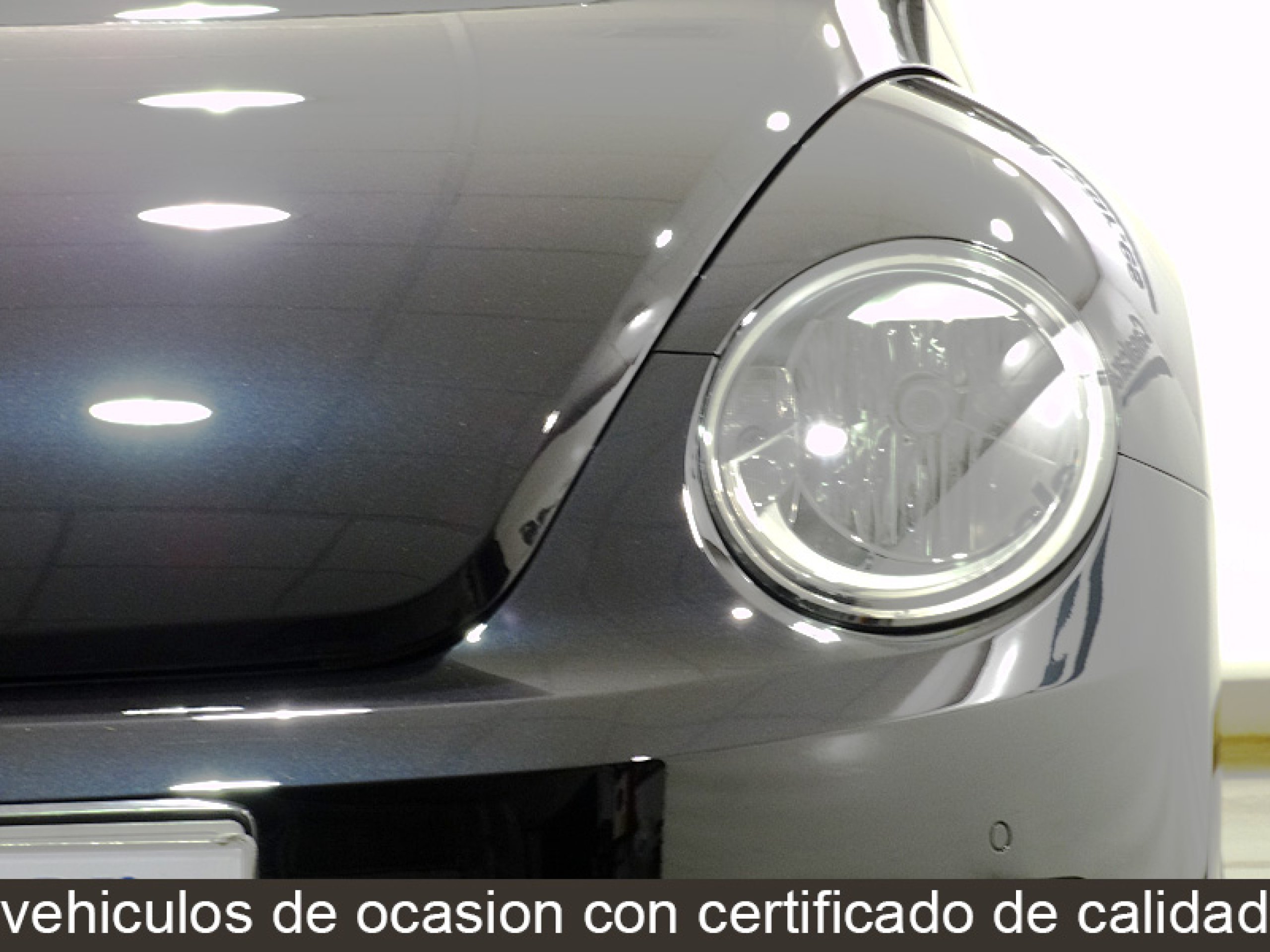 Foto Volkswagen Beetle 12