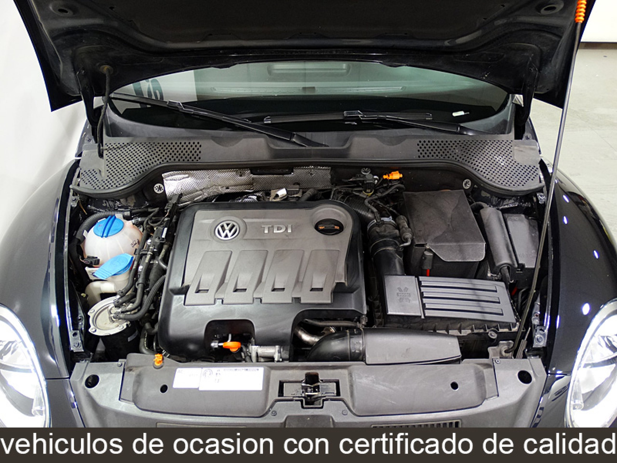 Foto Volkswagen Beetle 15