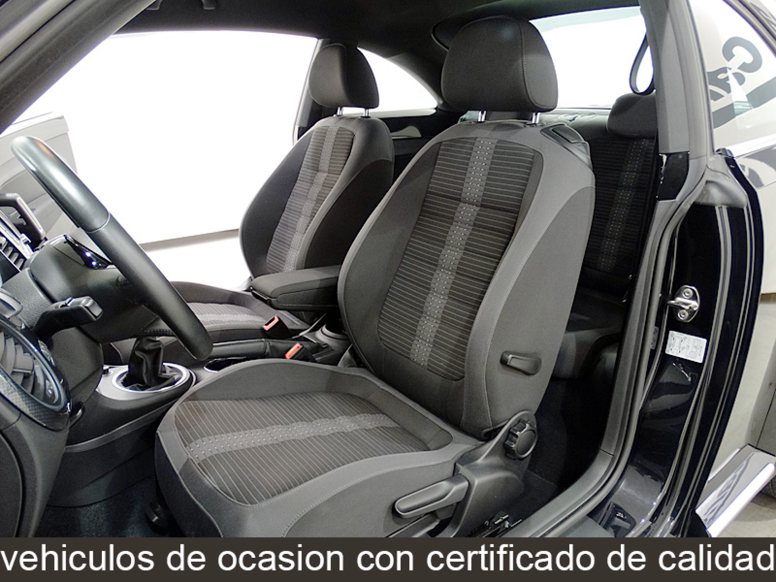 Foto Volkswagen Beetle 18