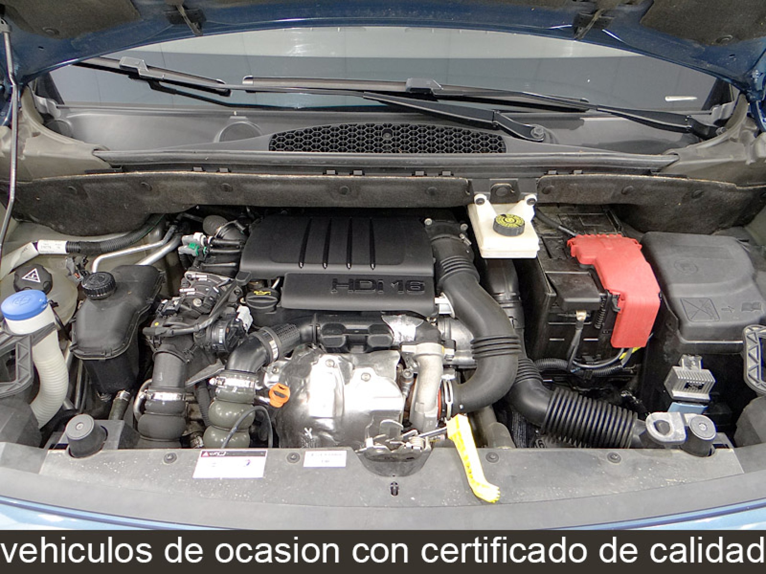 Foto Citroen Berlingo 13