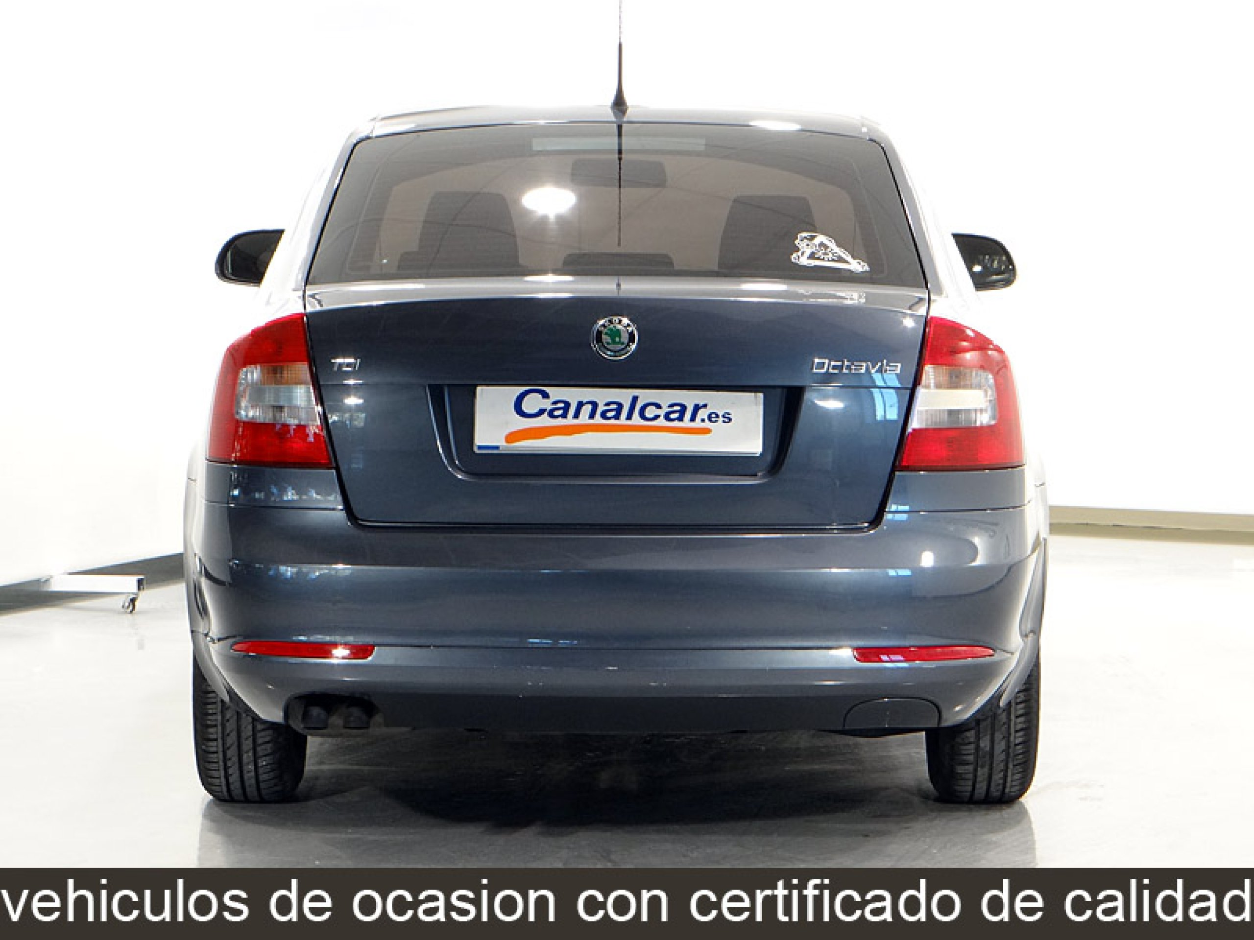 Foto Skoda Octavia 7