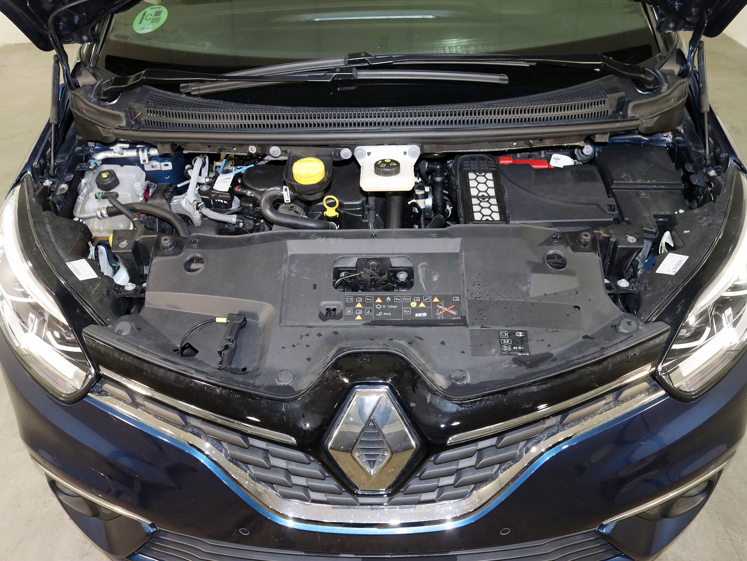 Foto Renault Scenic 8