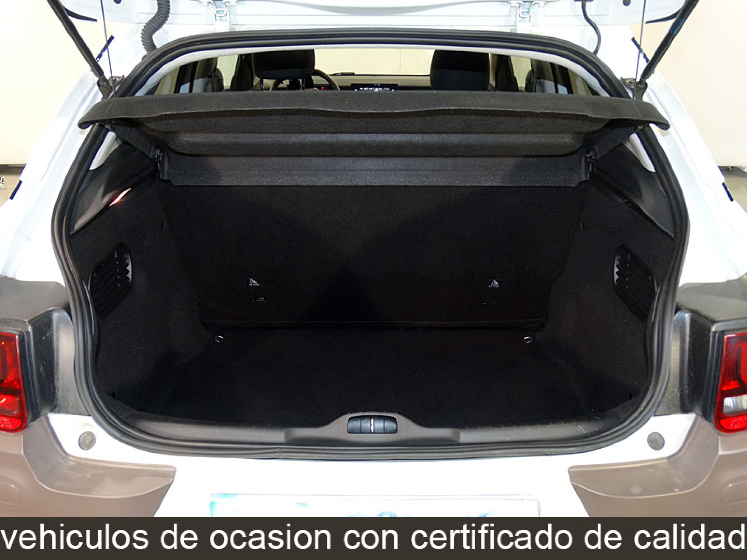 Foto Citroen C4 Cactus 10
