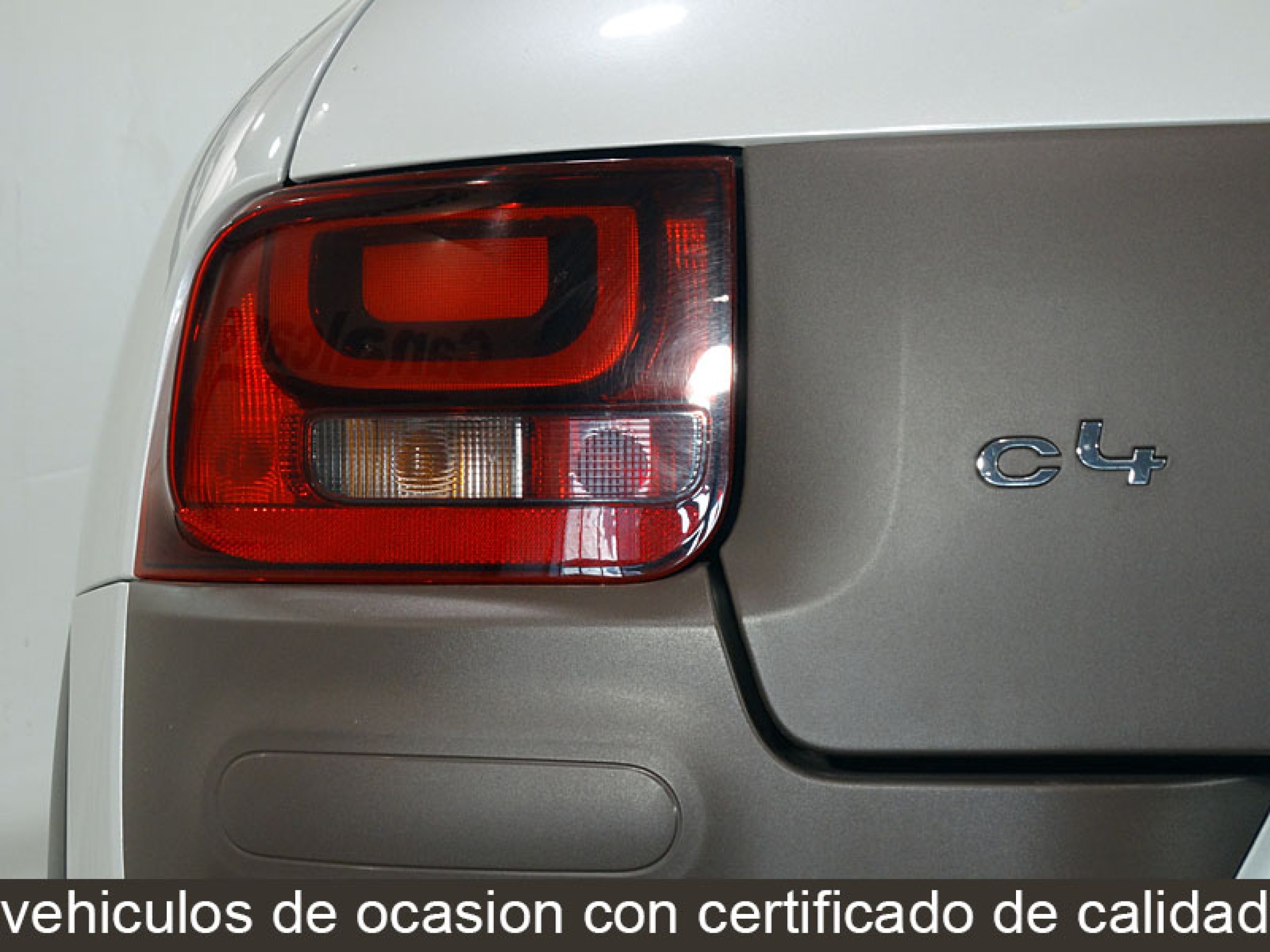 Foto Citroen C4 Cactus 11