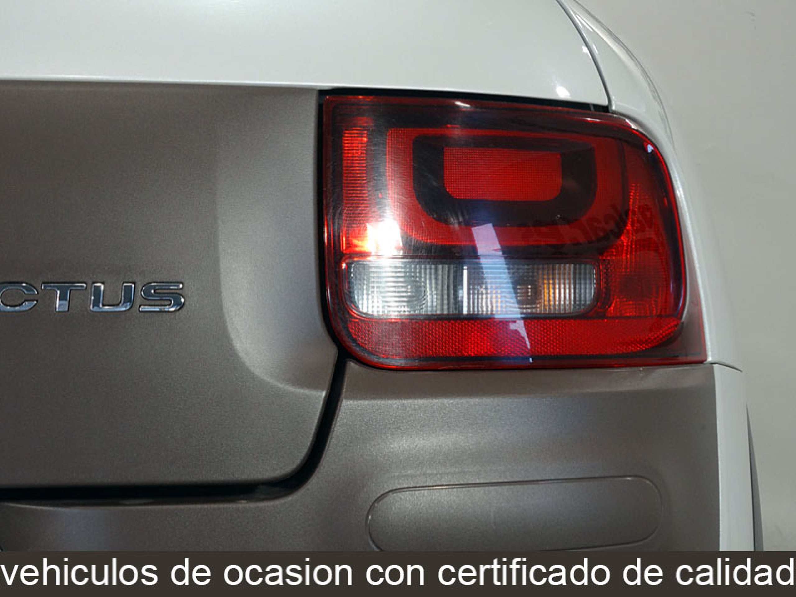 Foto Citroen C4 Cactus 12