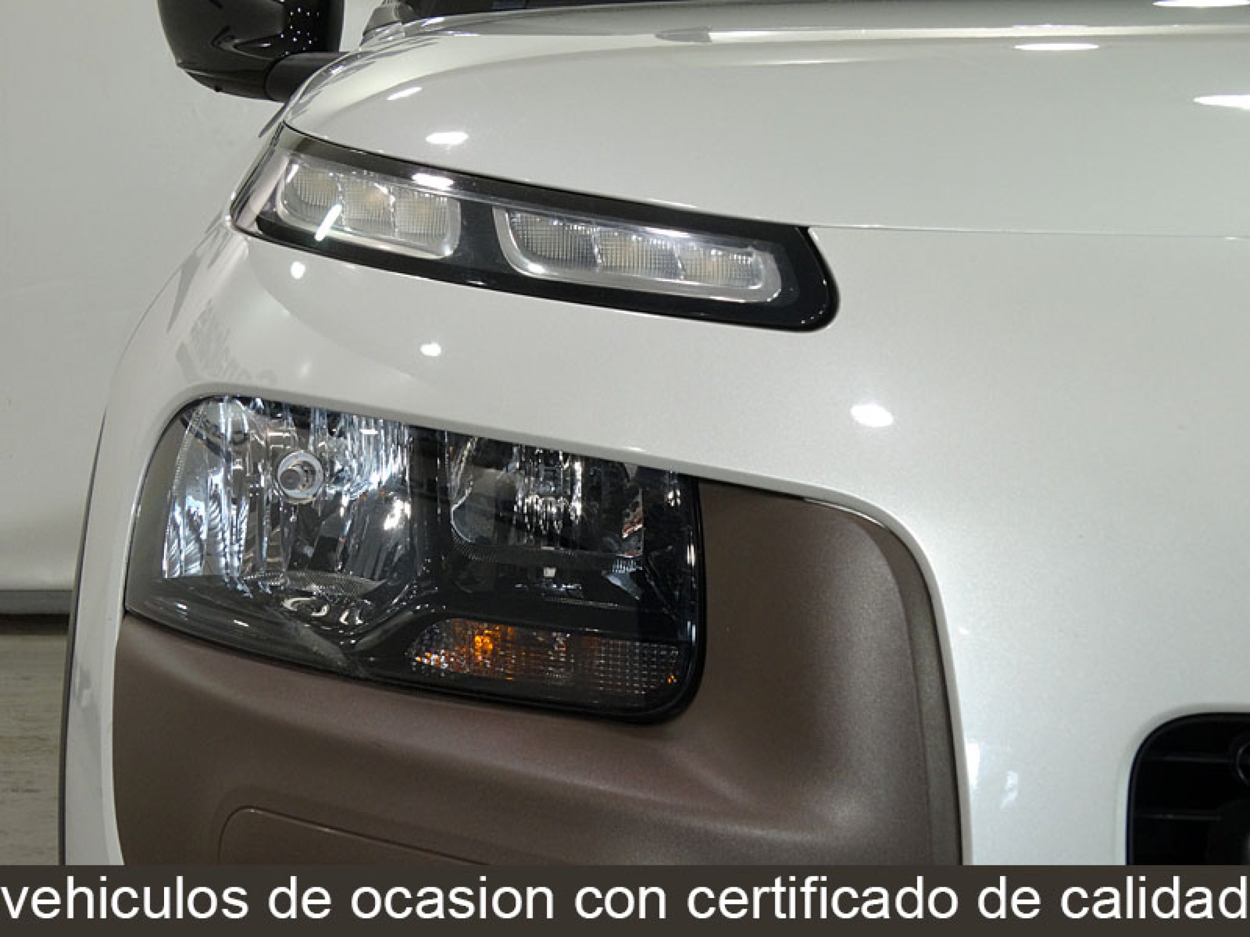 Foto Citroen C4 Cactus 13
