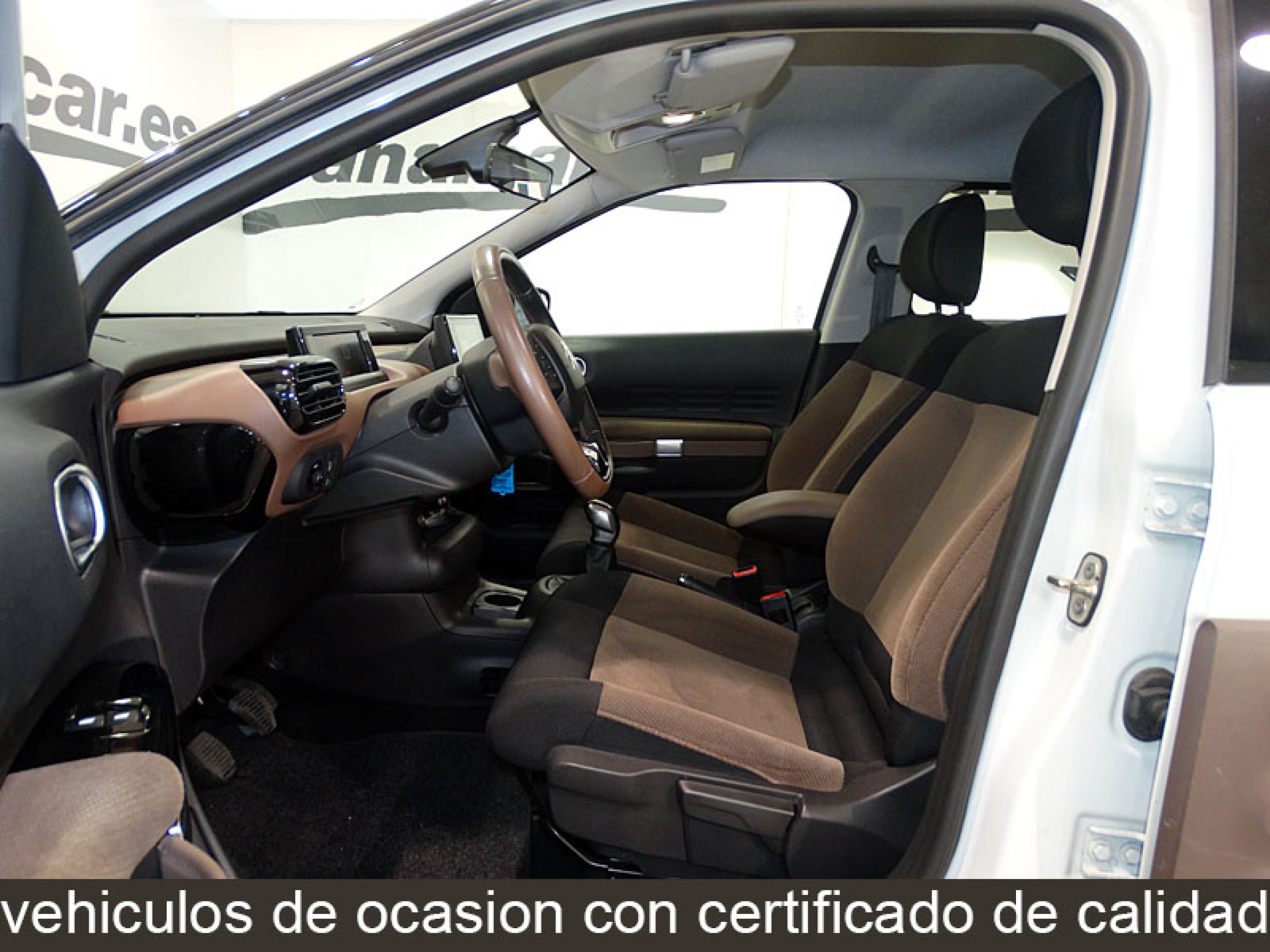 Foto Citroen C4 Cactus 15