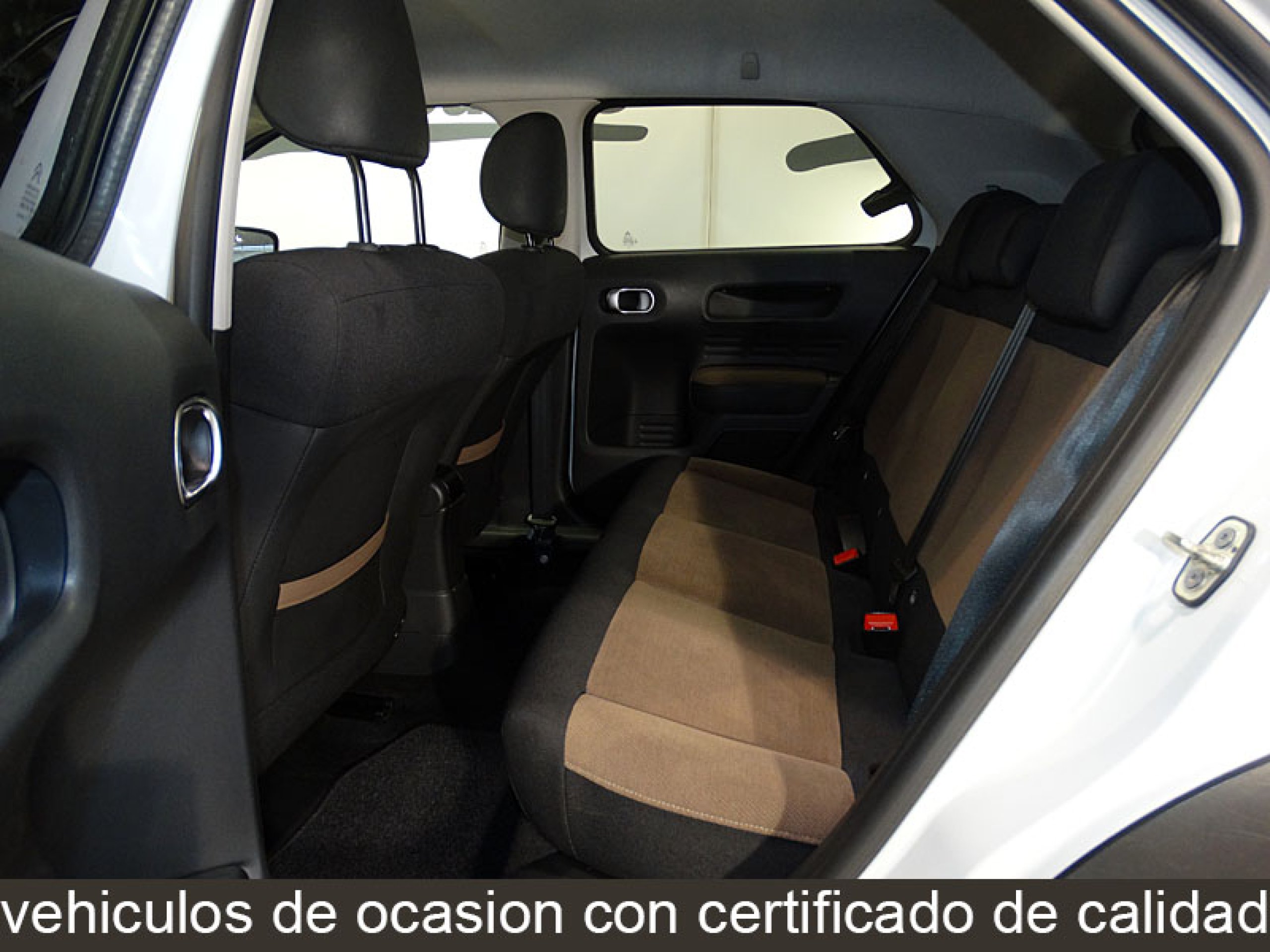 Foto Citroen C4 Cactus 16