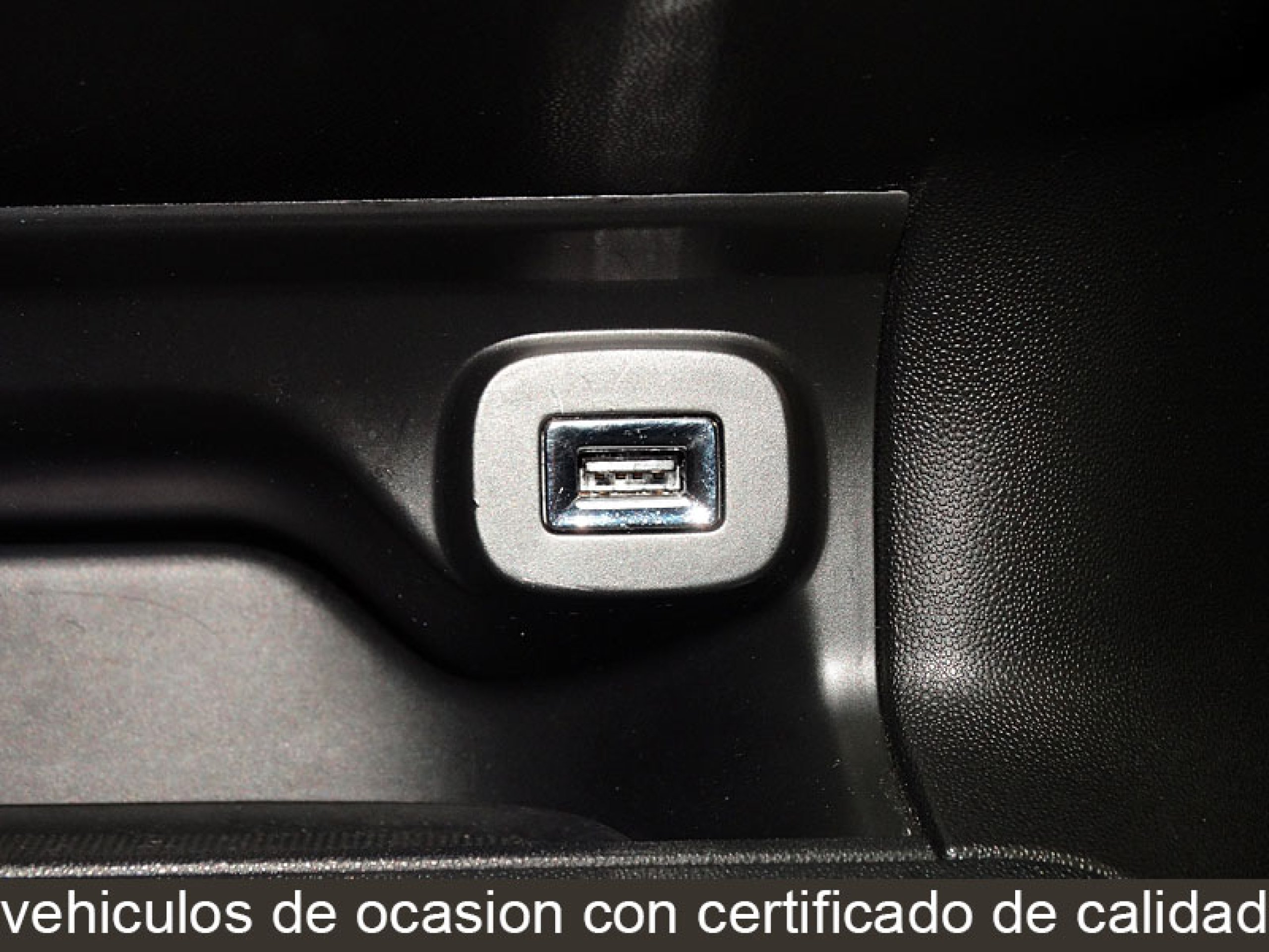 Foto Citroen C4 Cactus 21