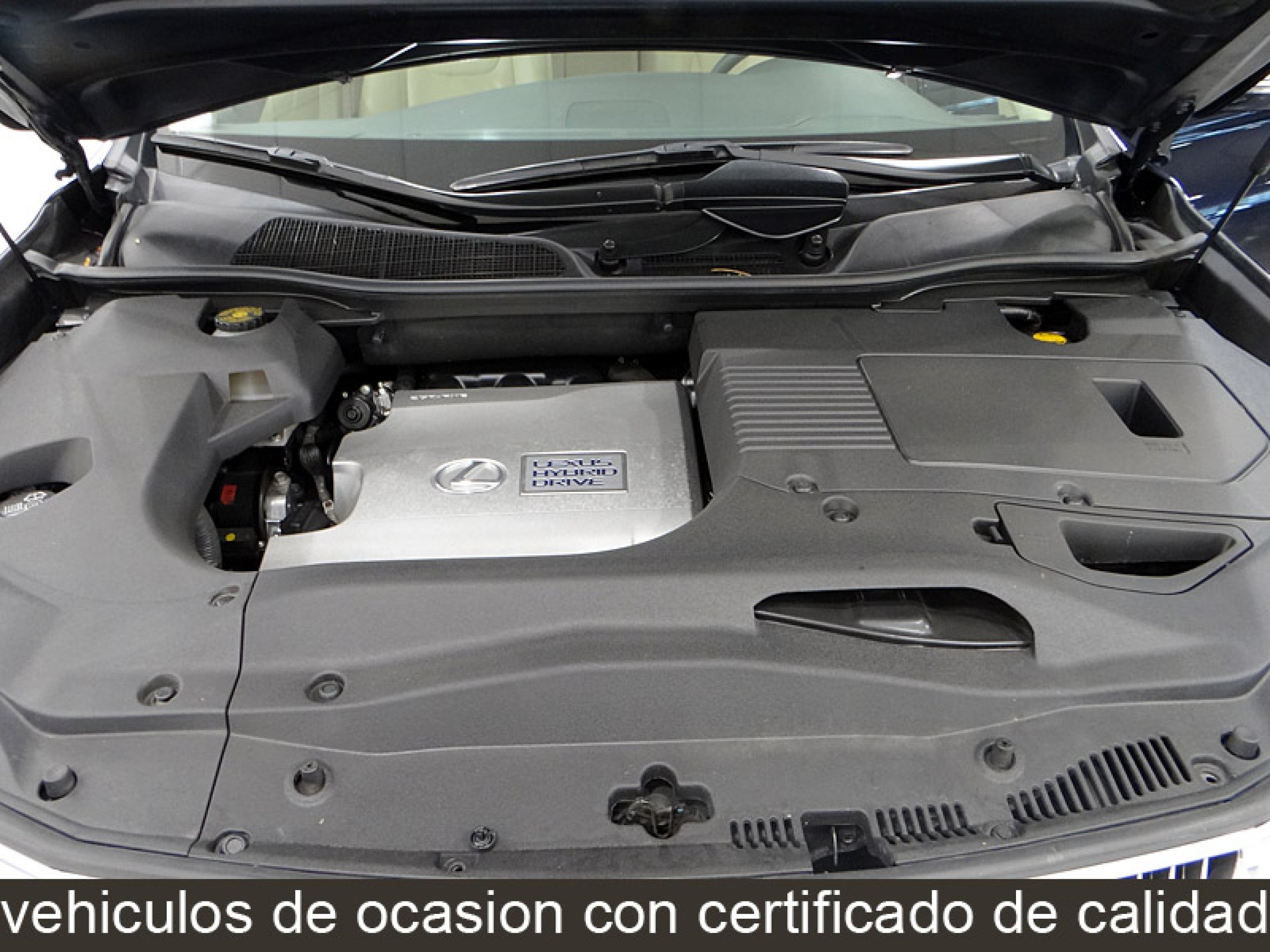 Foto Lexus RX 450h 16