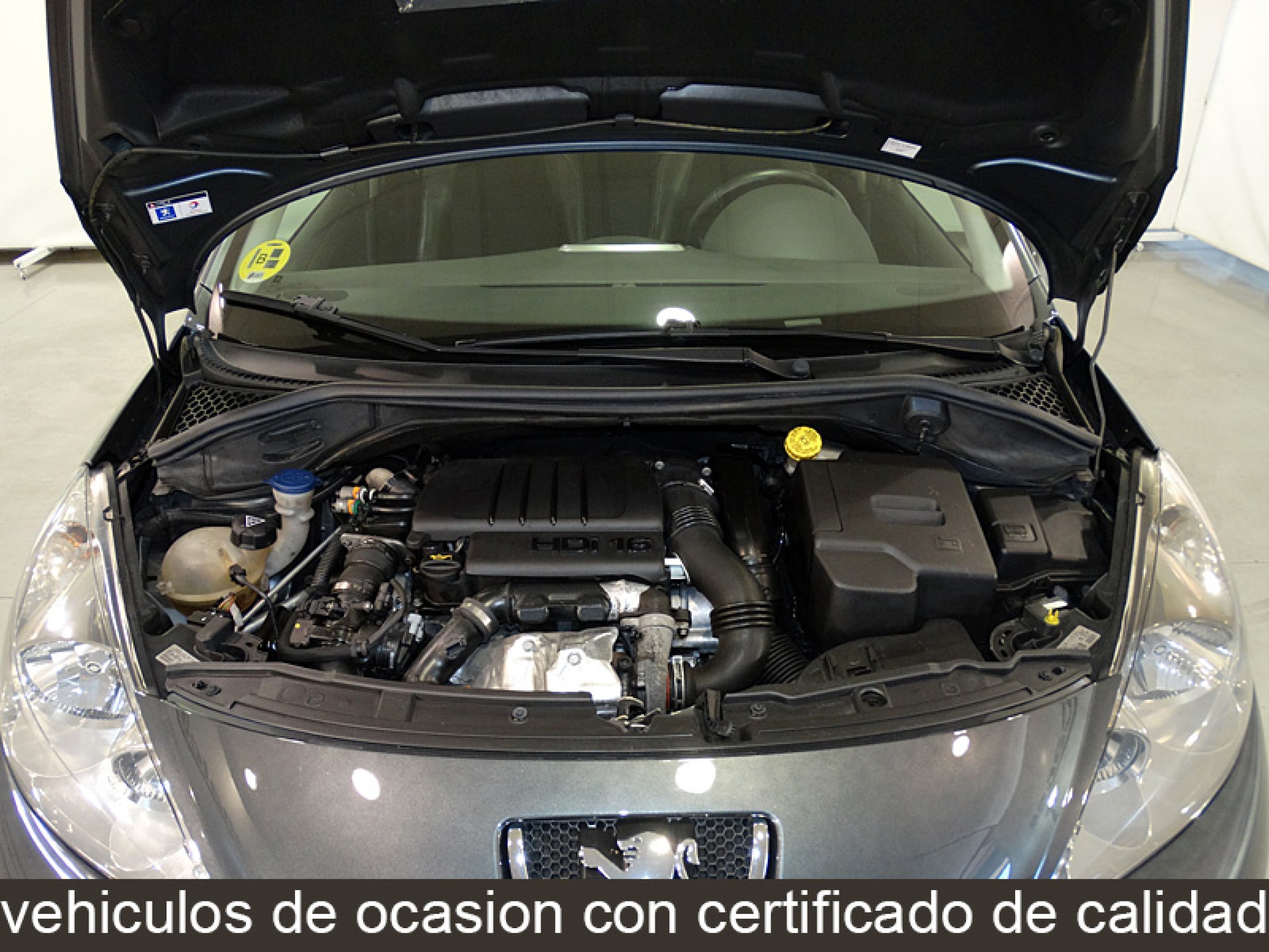 Foto Peugeot 207 8
