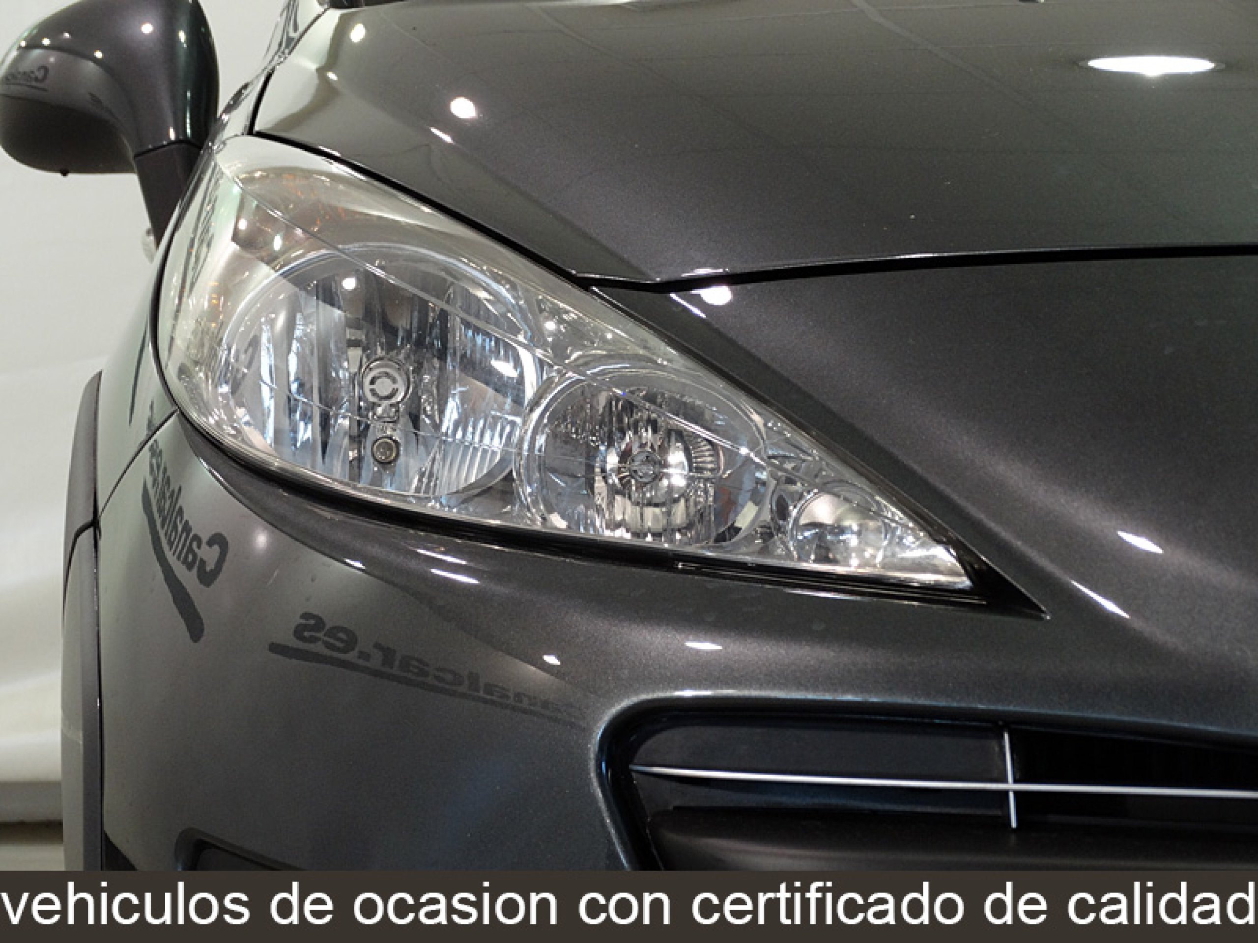 Foto Peugeot 207 12