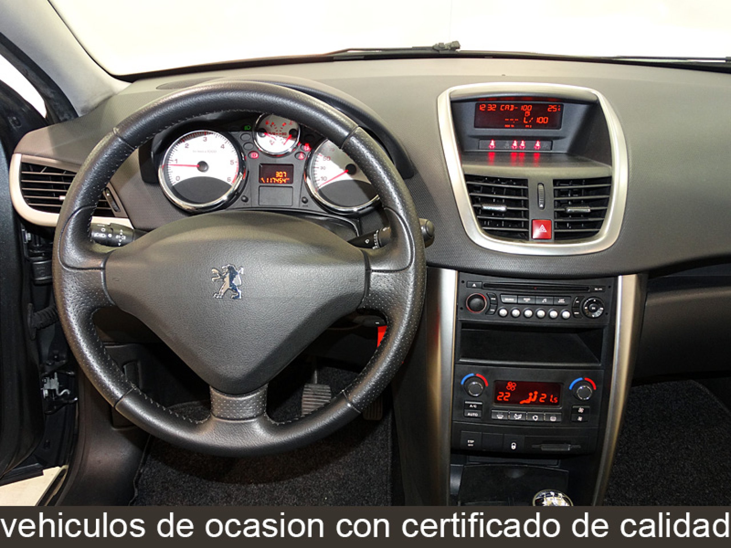 Foto Peugeot 207 23