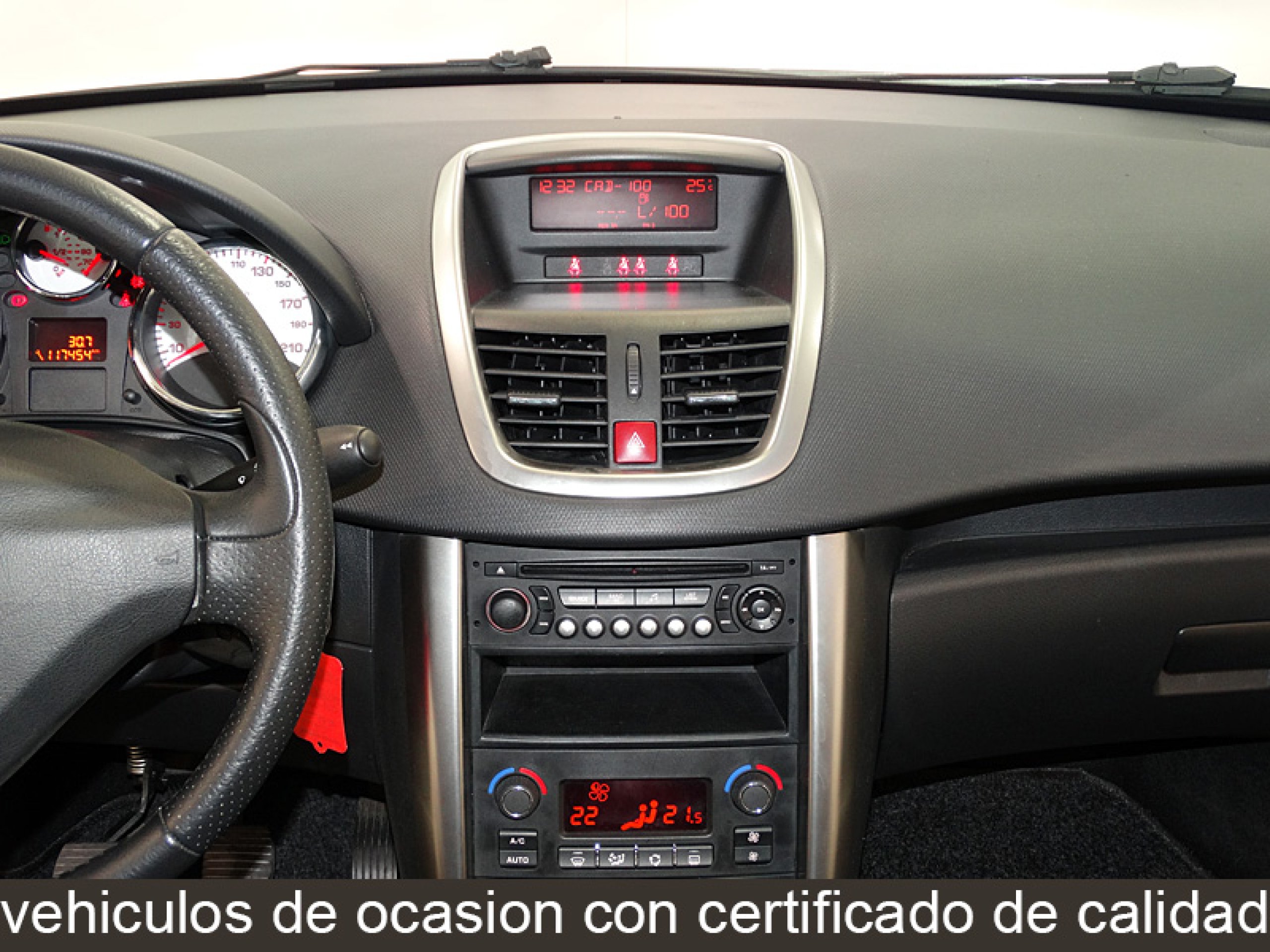 Foto Peugeot 207 24