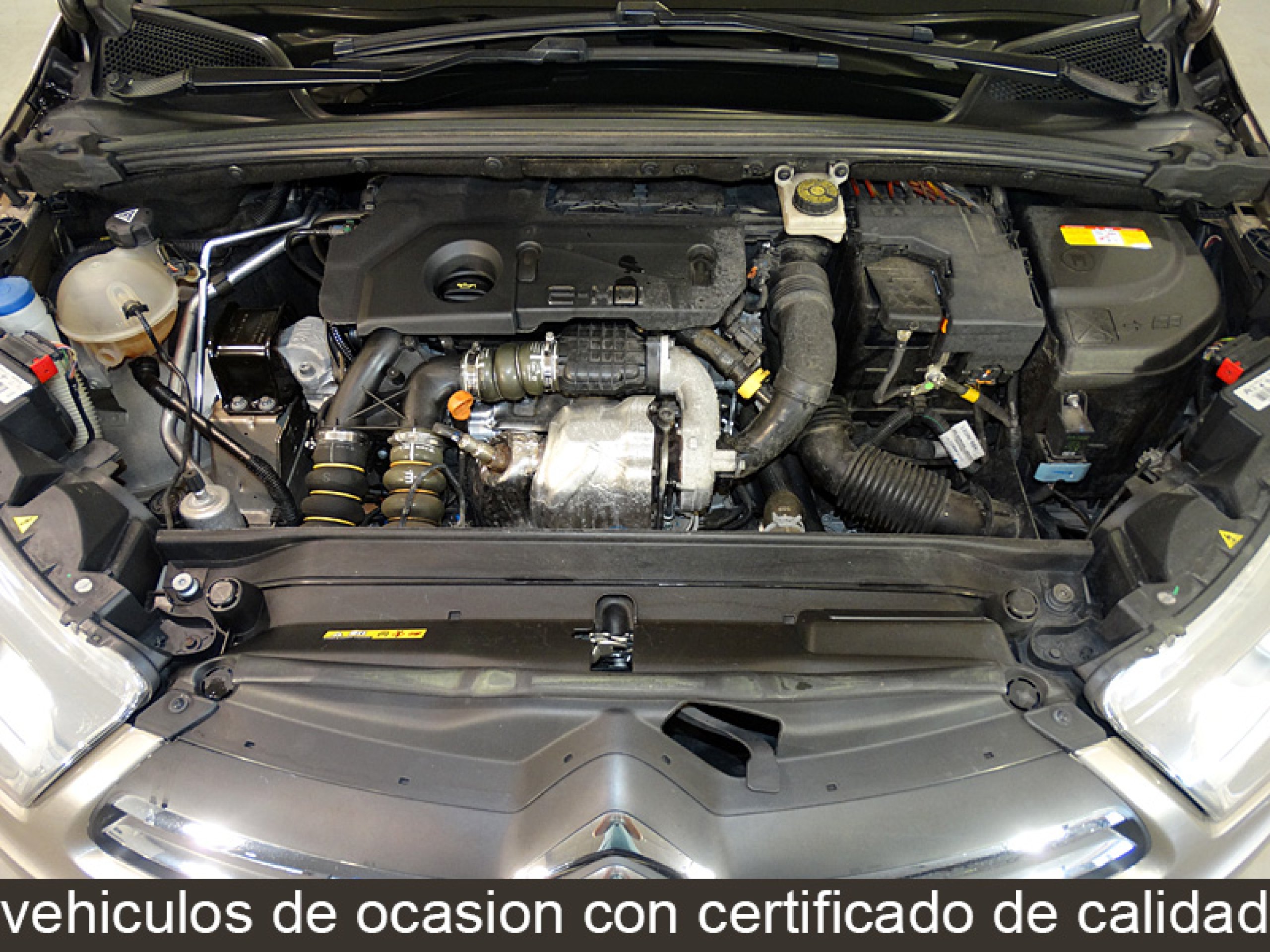 Foto Citroen C4 8