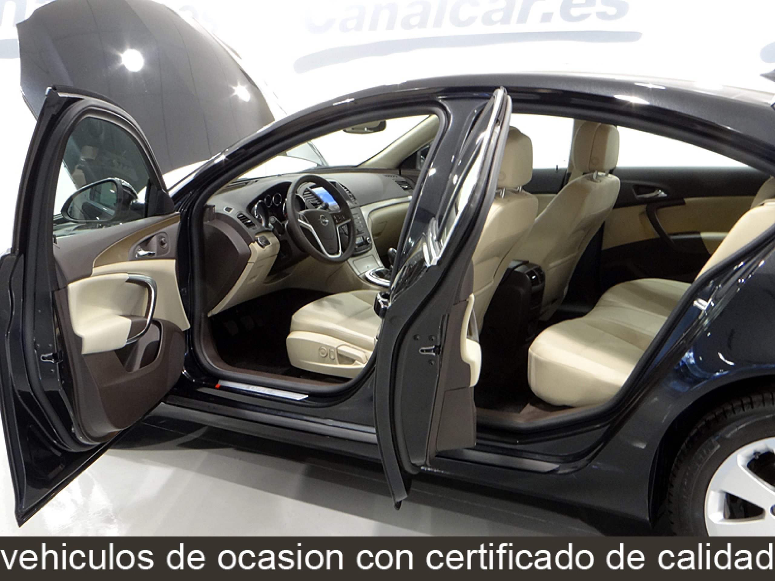 Foto Opel Insignia 14