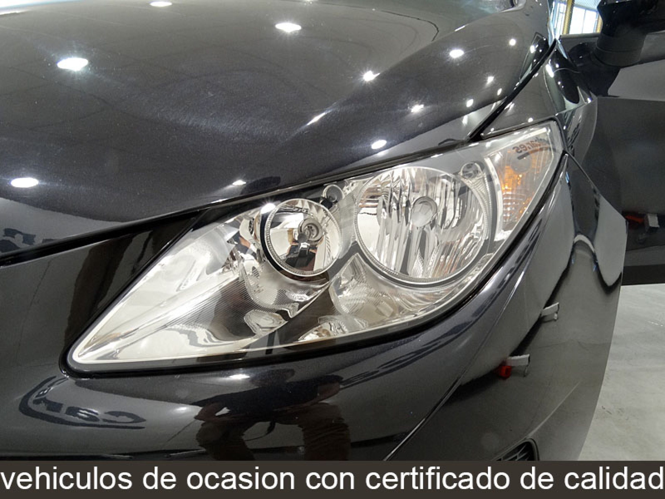 Foto Seat Ibiza 13