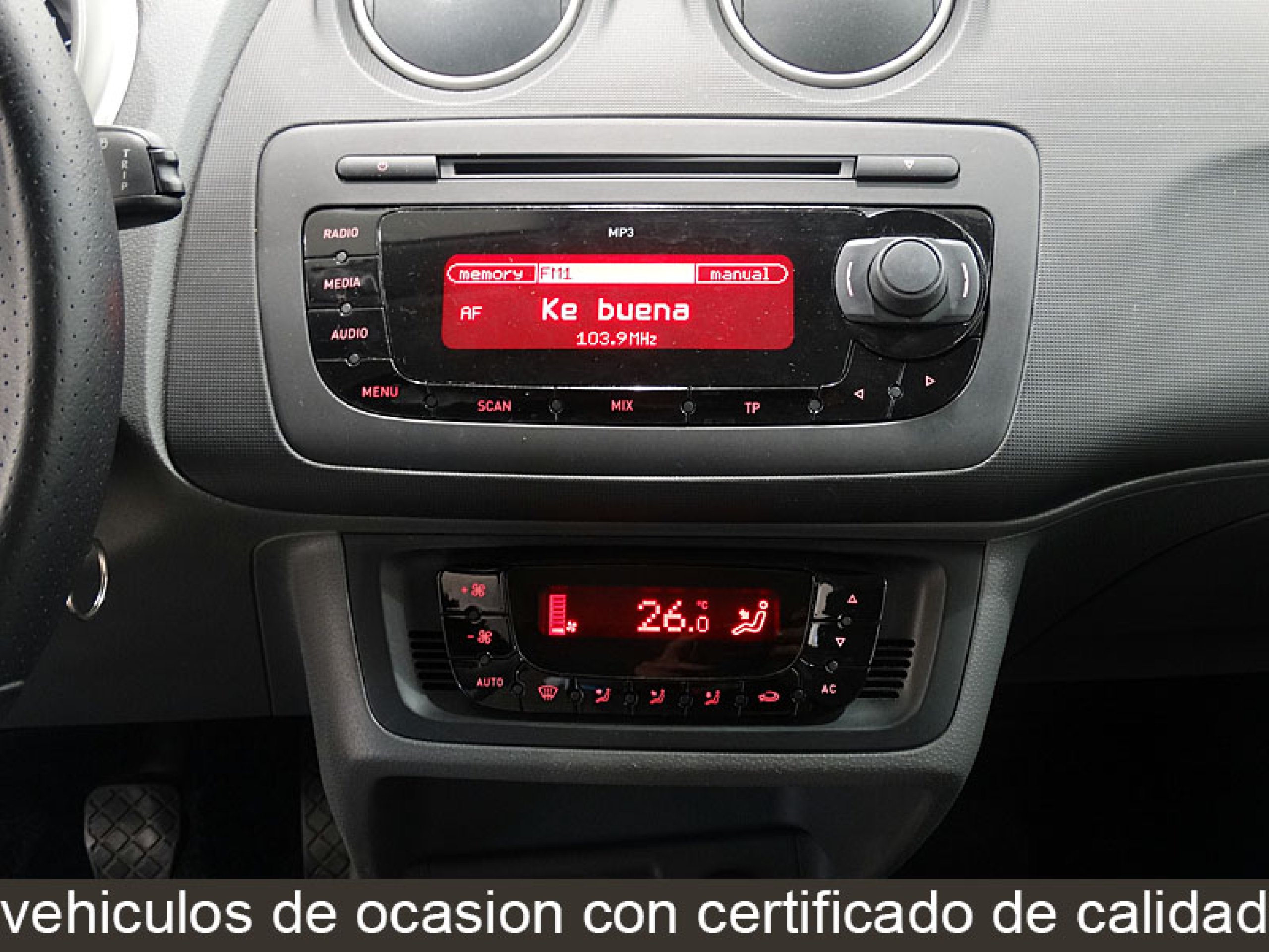 Foto Seat Ibiza 22