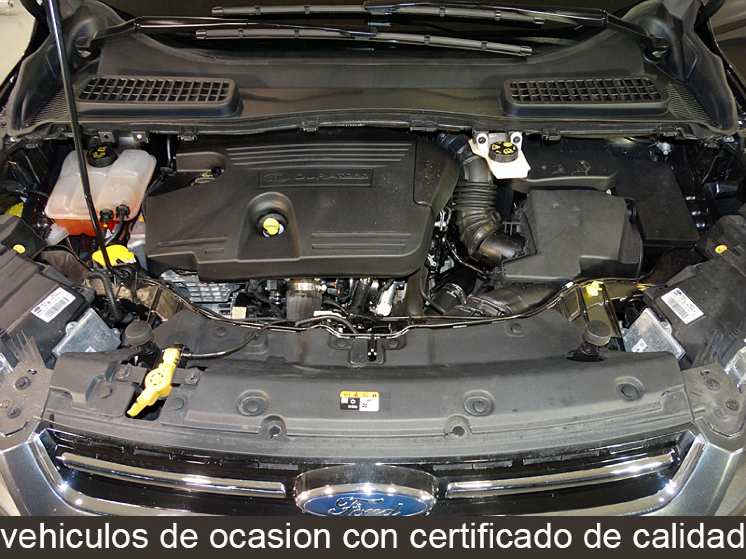Foto Ford Kuga 8
