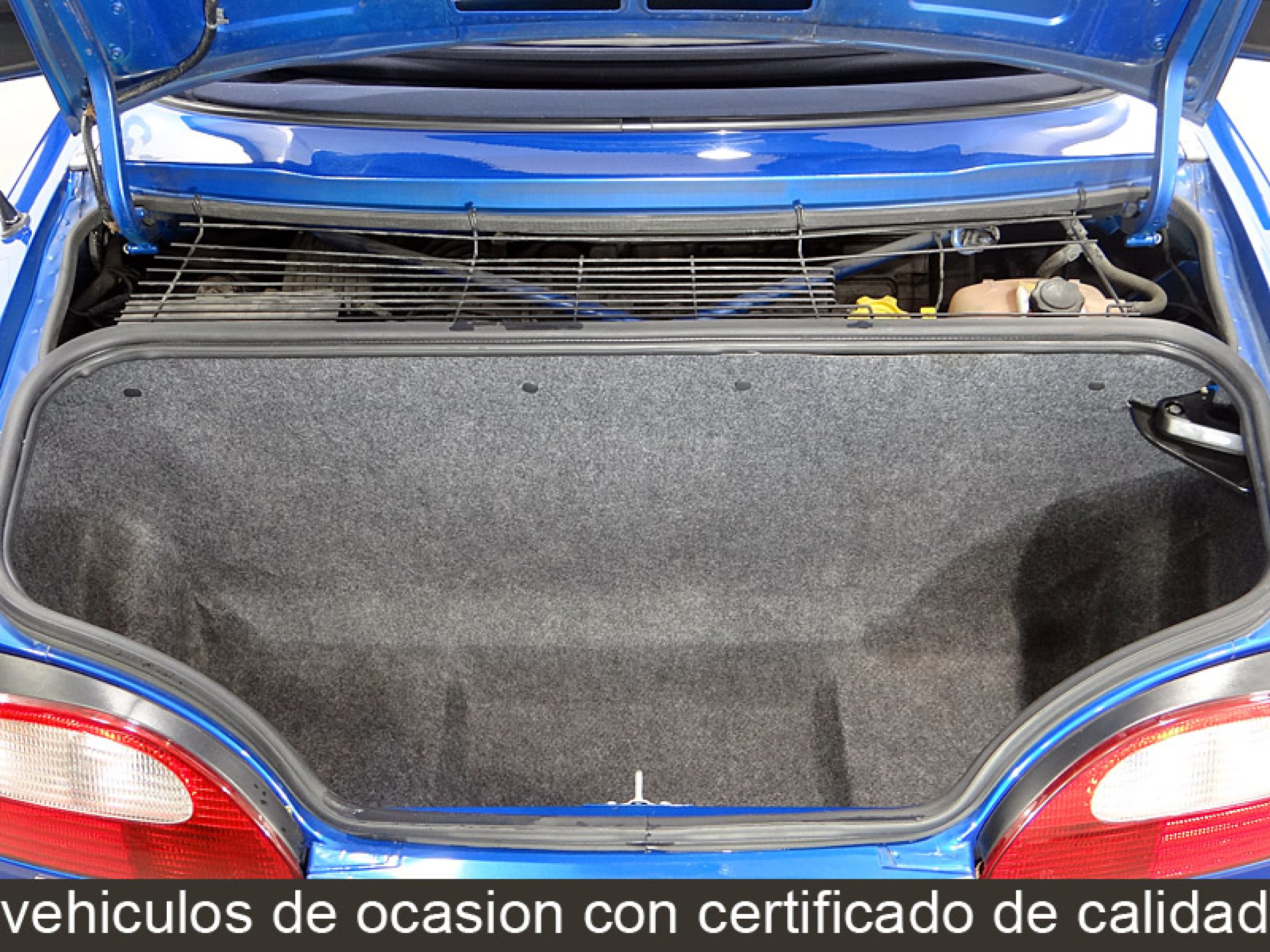 Foto MG TF 19