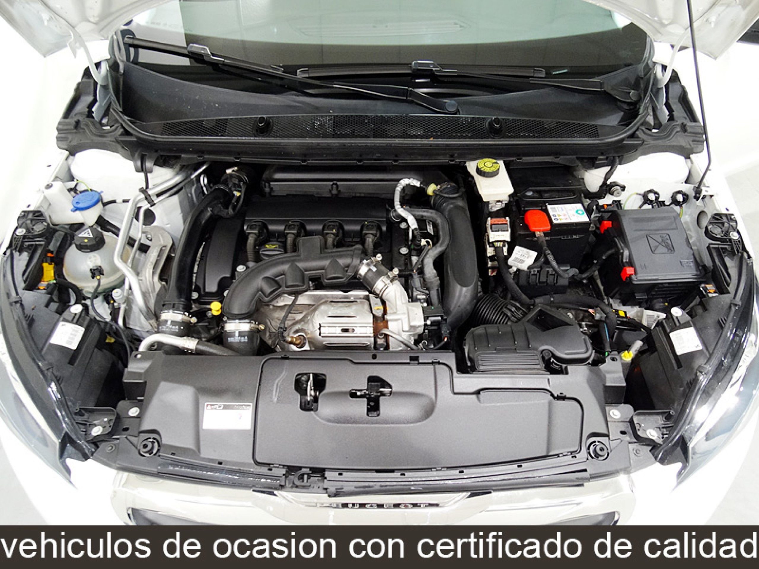Foto Peugeot 308 16