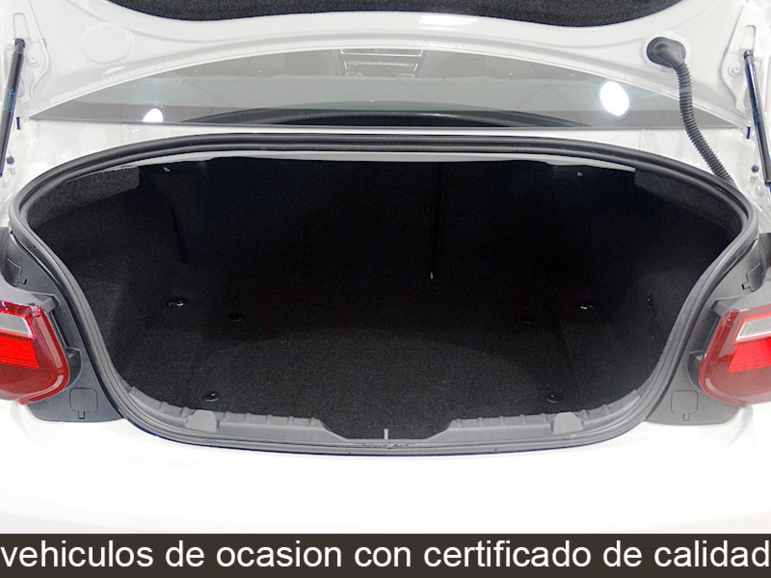 Foto Bmw 218 16