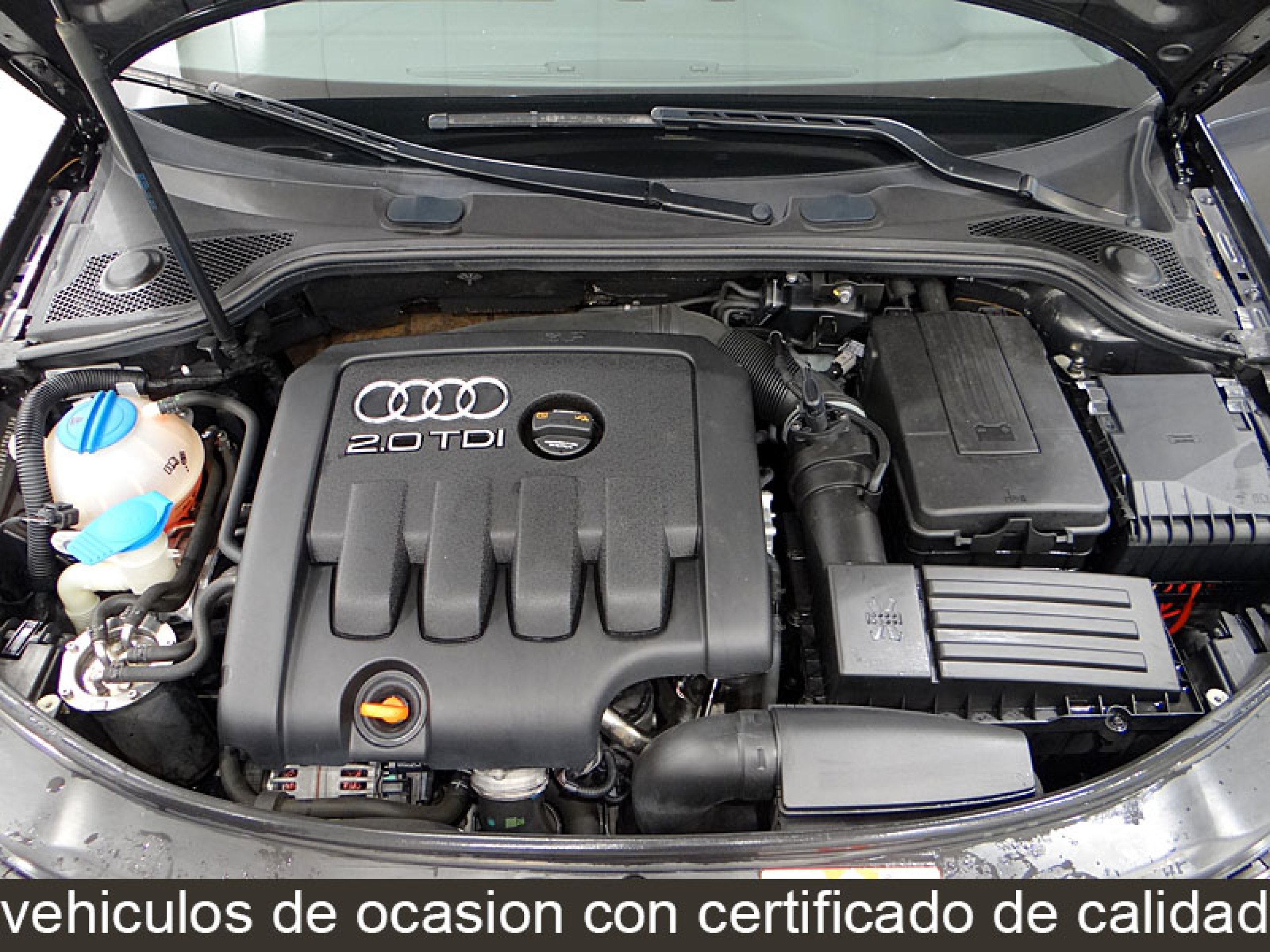 Foto Audi A3 12