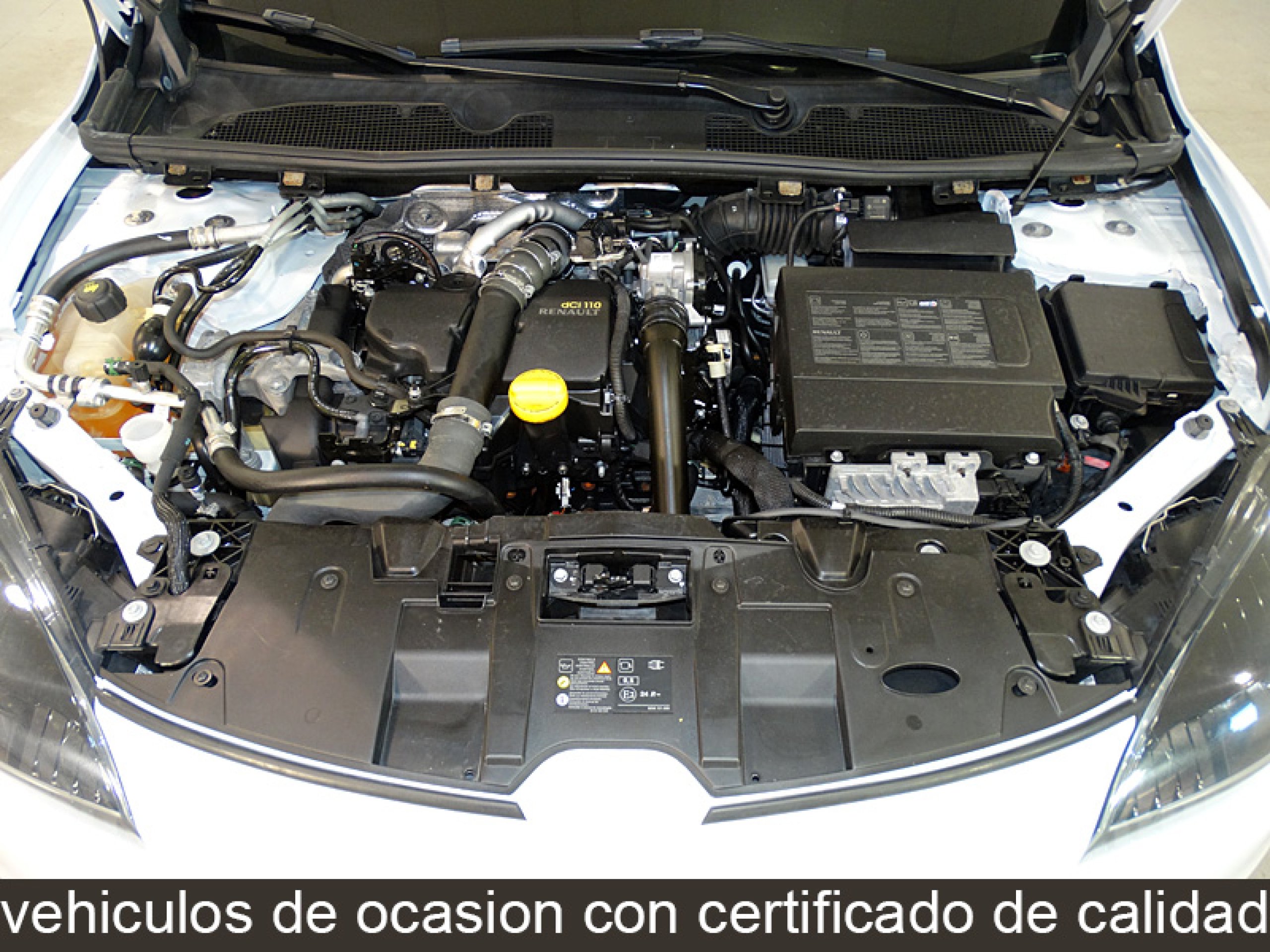 Foto Renault Megane 15