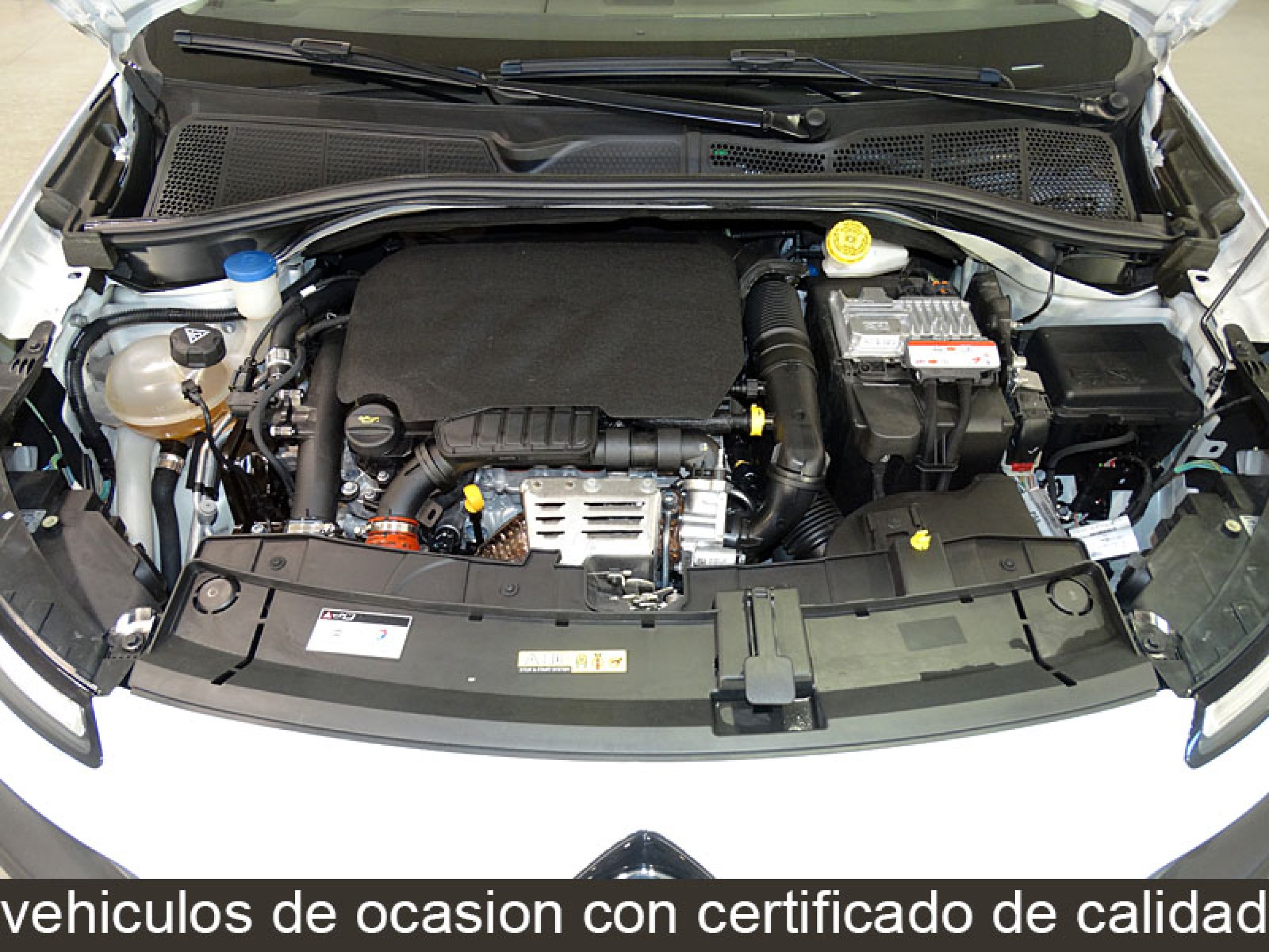Foto Citroen C4 Cactus 9