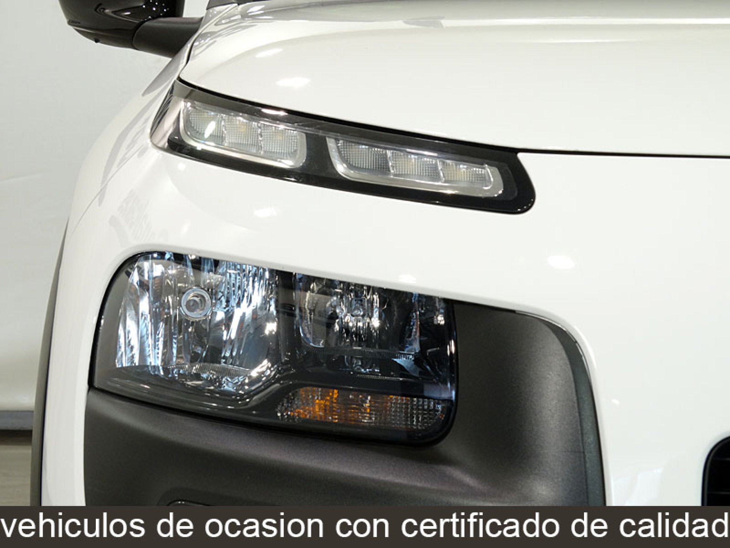 Foto Citroen C4 Cactus 13