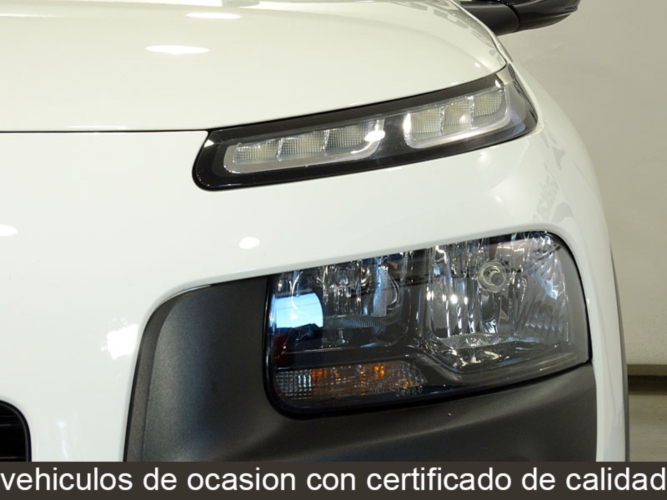 Foto Citroen C4 Cactus 14