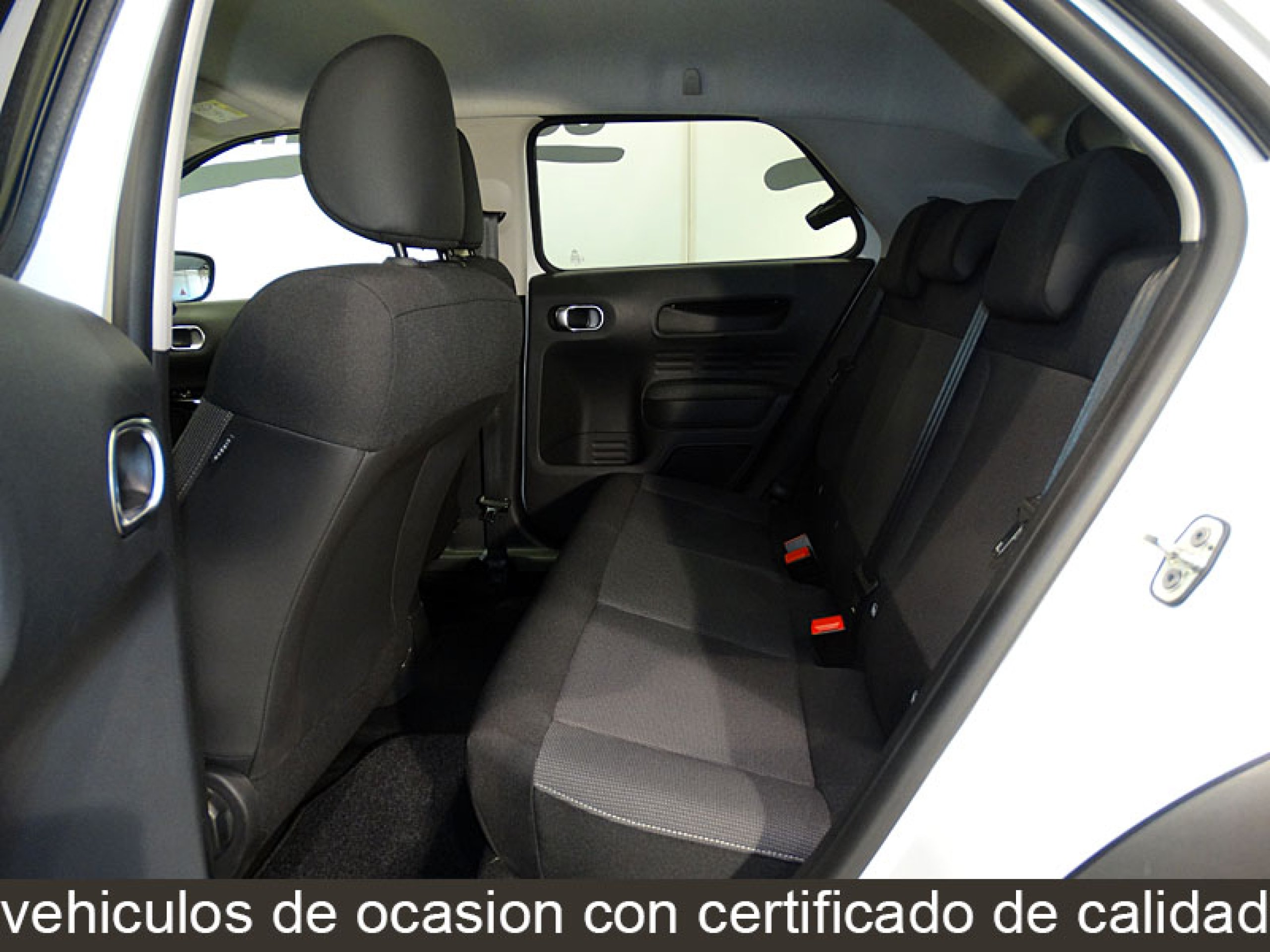 Foto Citroen C4 Cactus 17