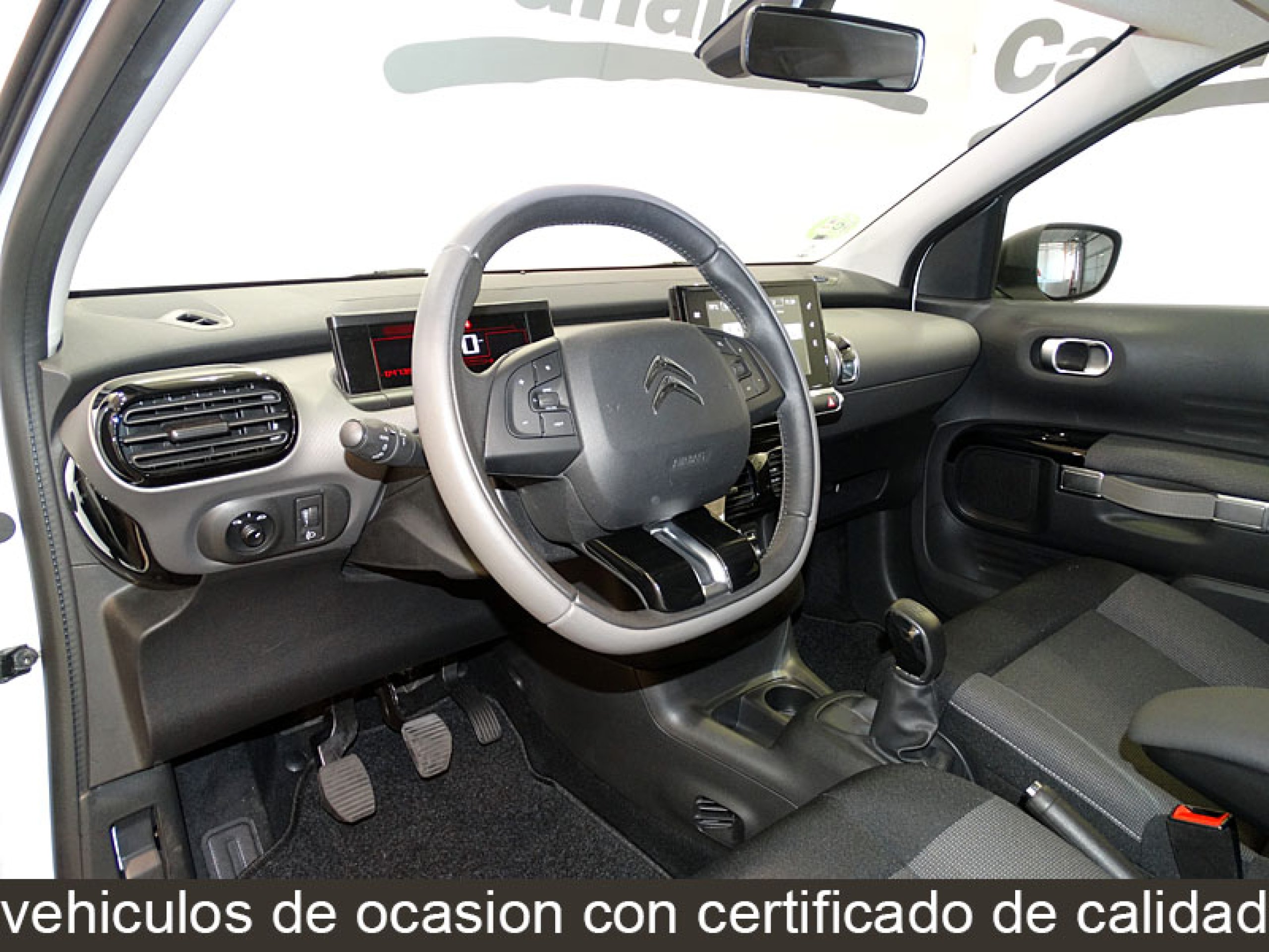 Foto Citroen C4 Cactus 22