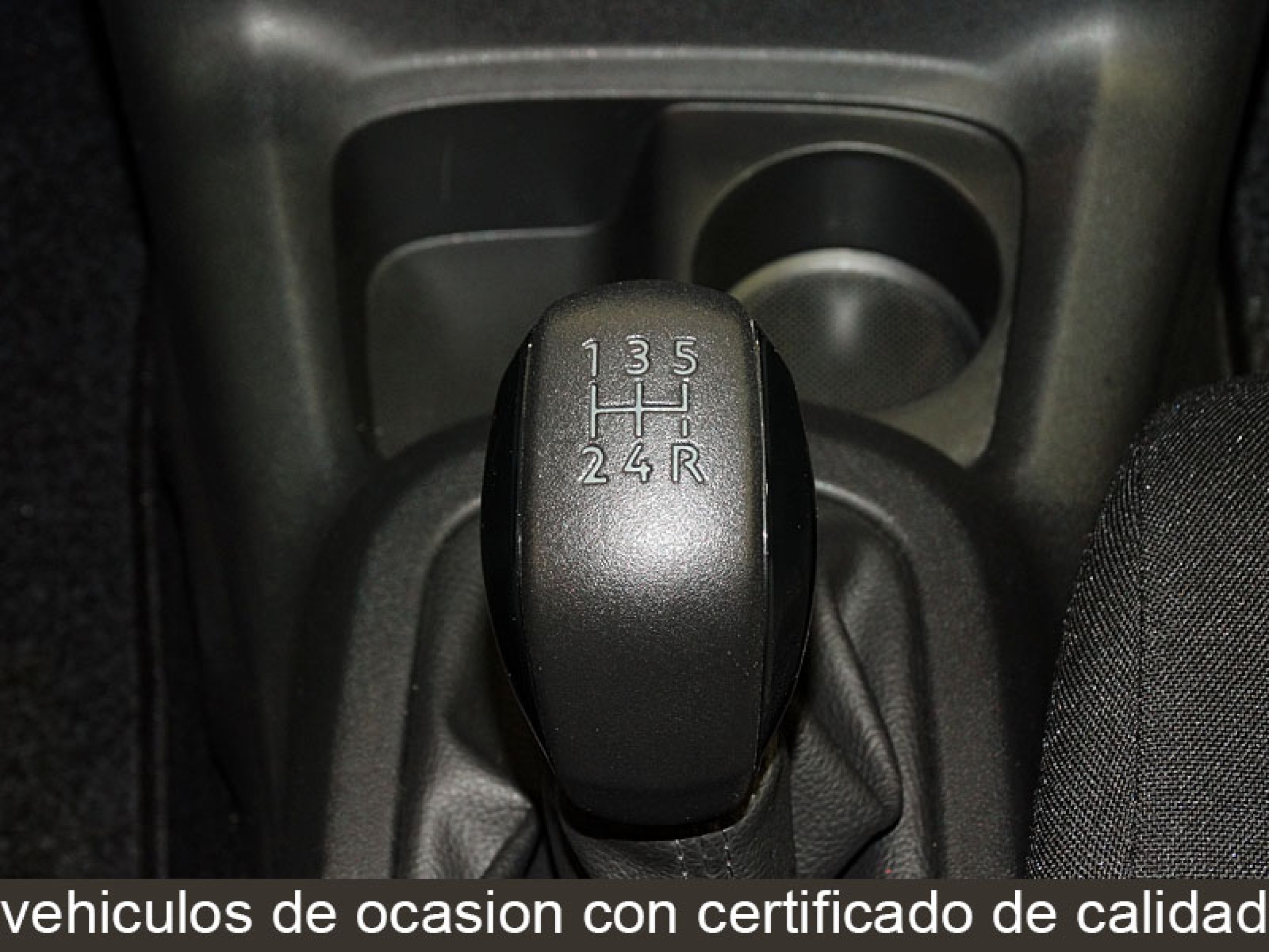 Foto Citroen C4 Cactus 28