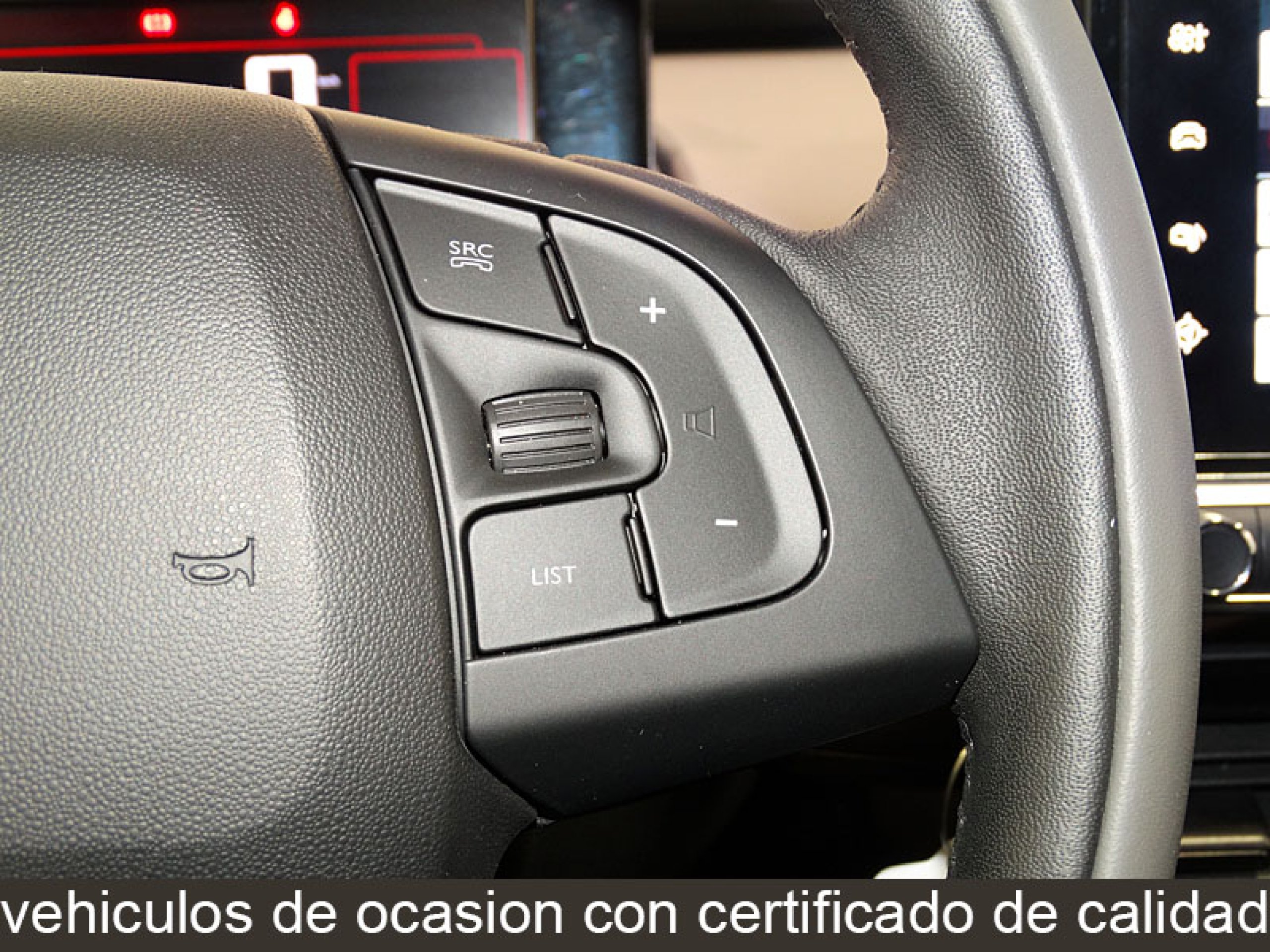 Foto Citroen C4 Cactus 32
