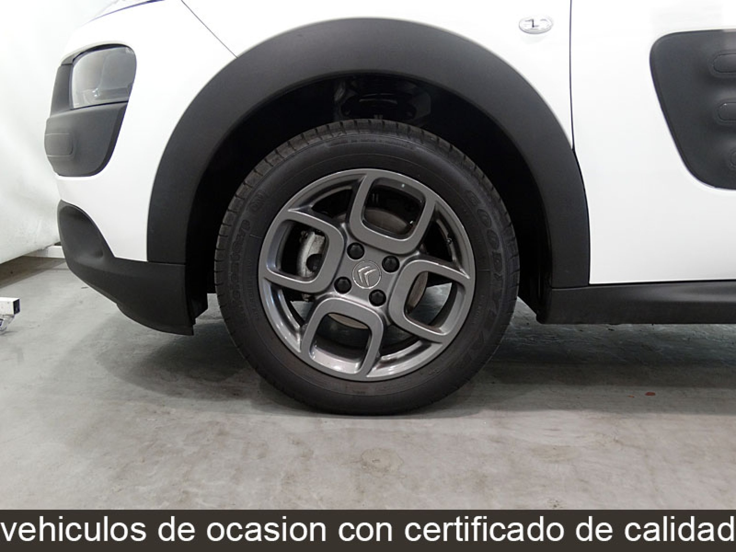 Foto Citroen C4 Cactus 36
