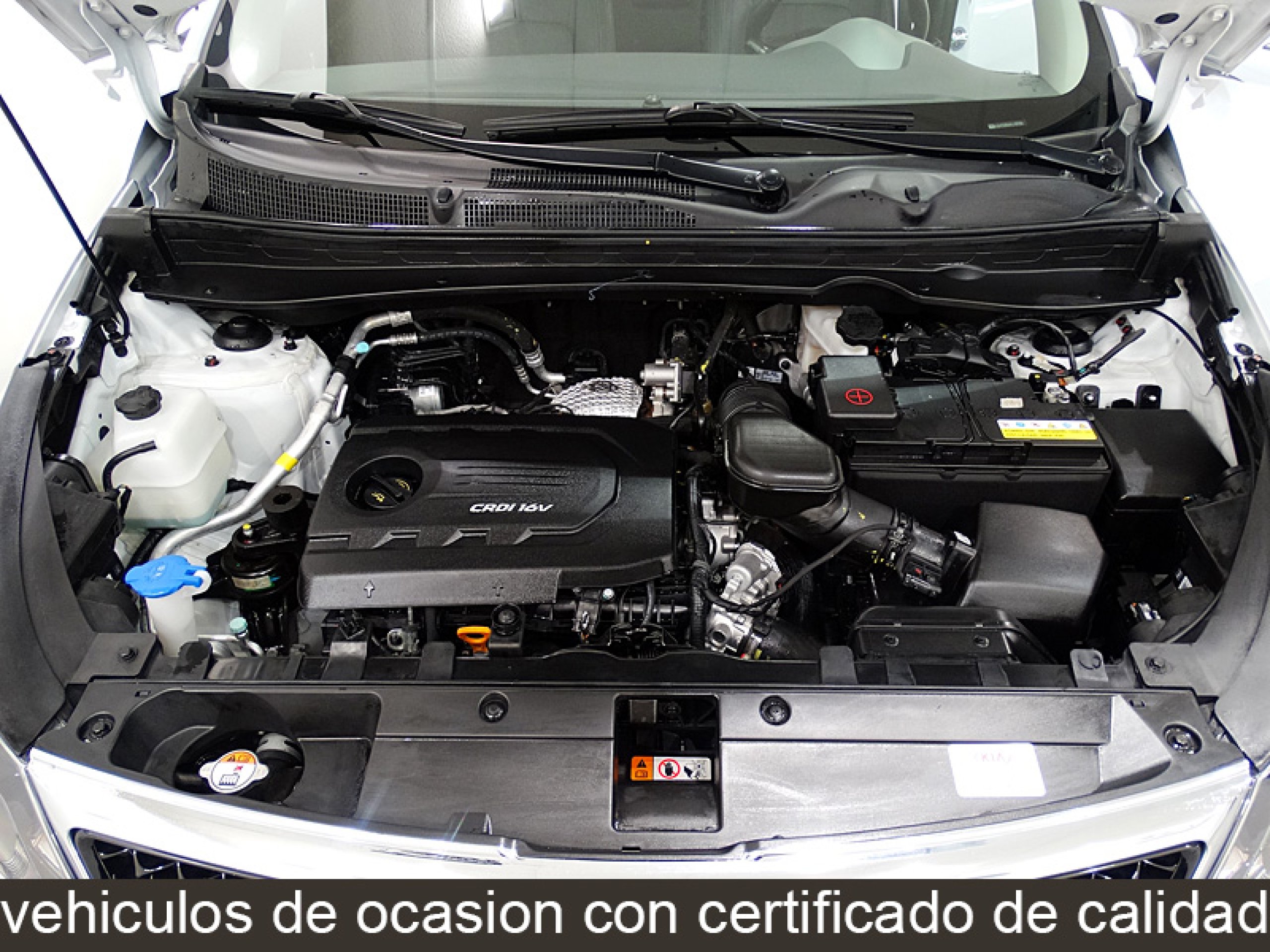 Foto Kia Sportage 17