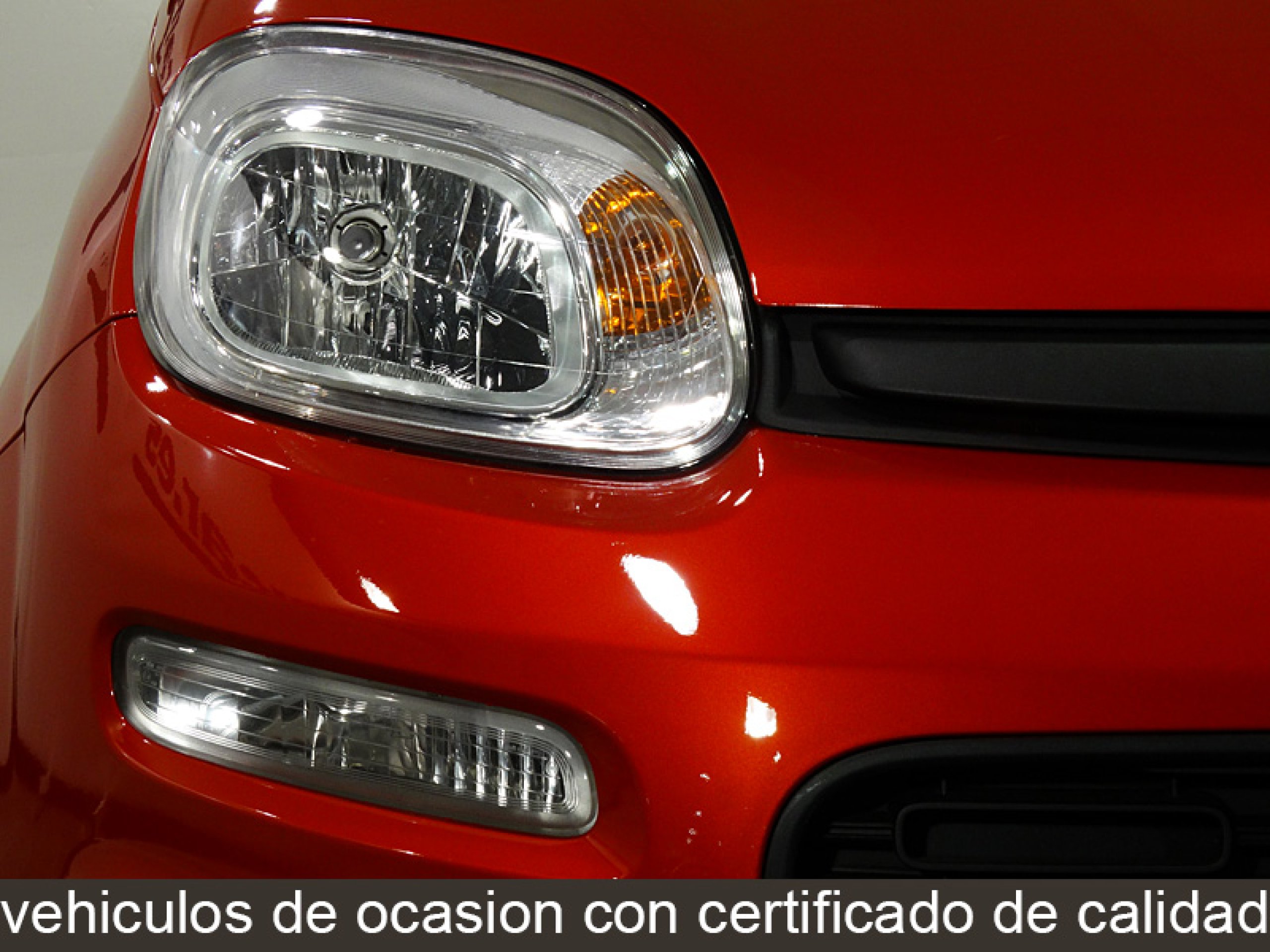 Foto Fiat Panda 15