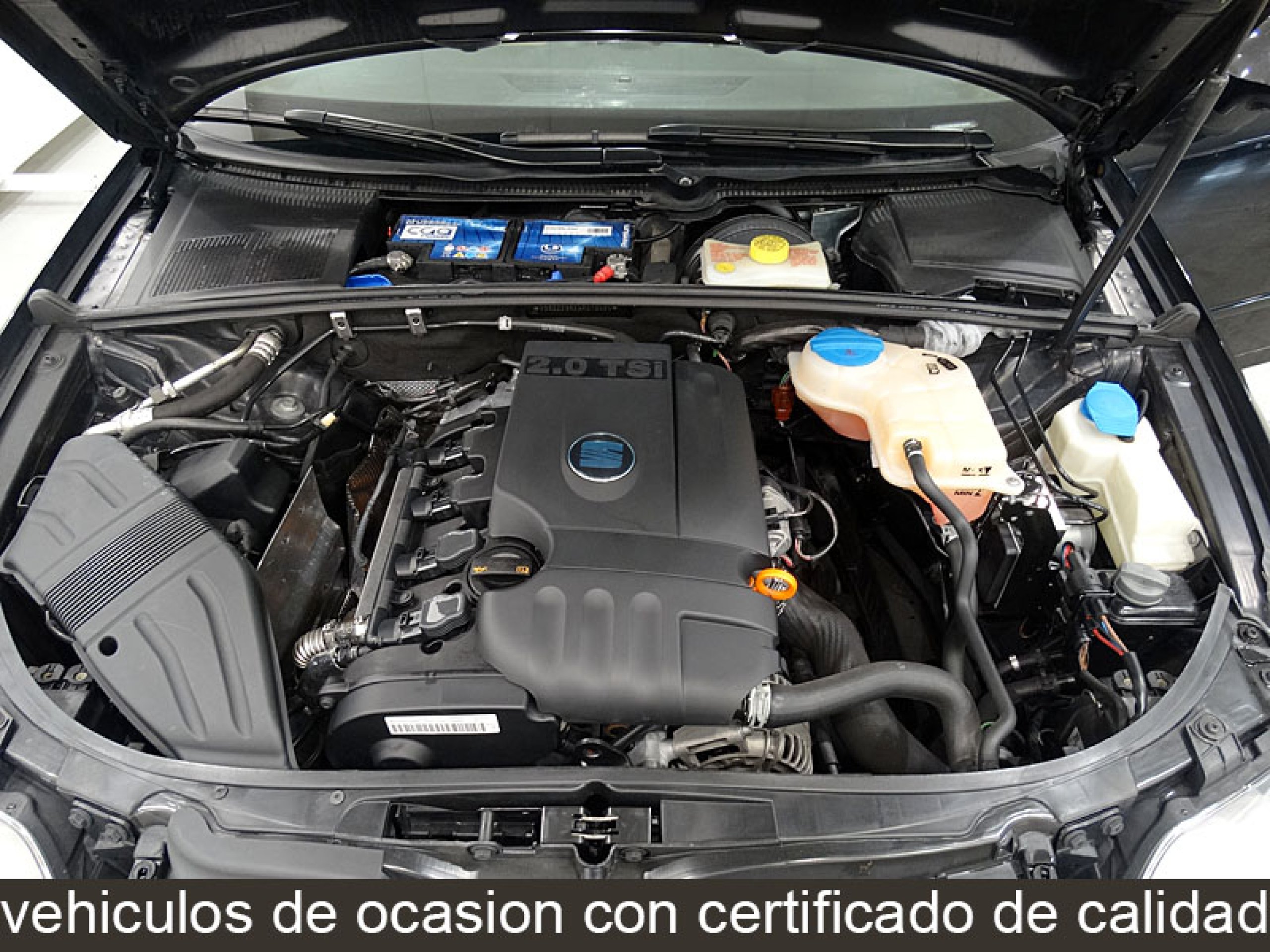 Foto Seat Exeo 12
