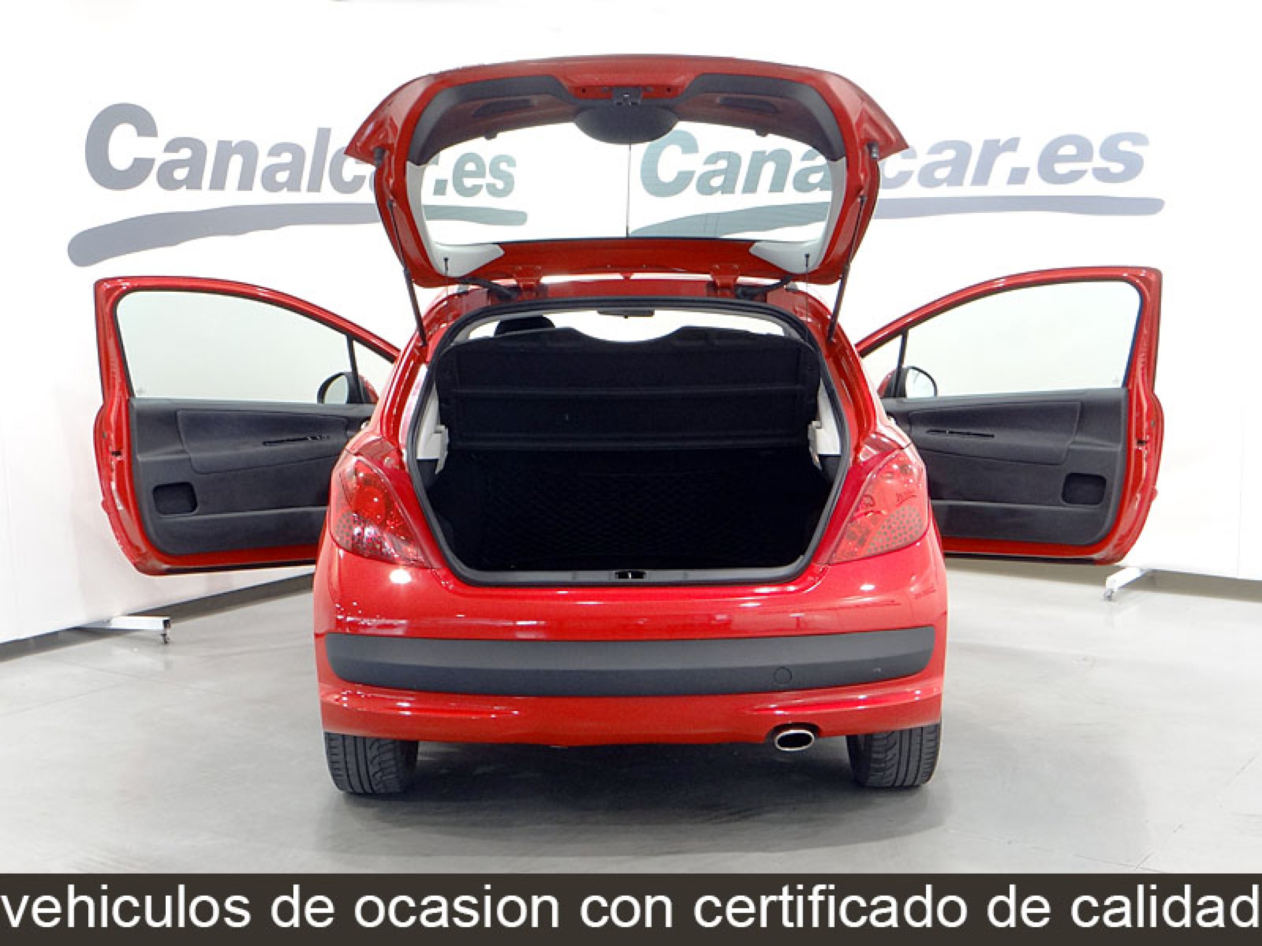 Foto Peugeot 207 8