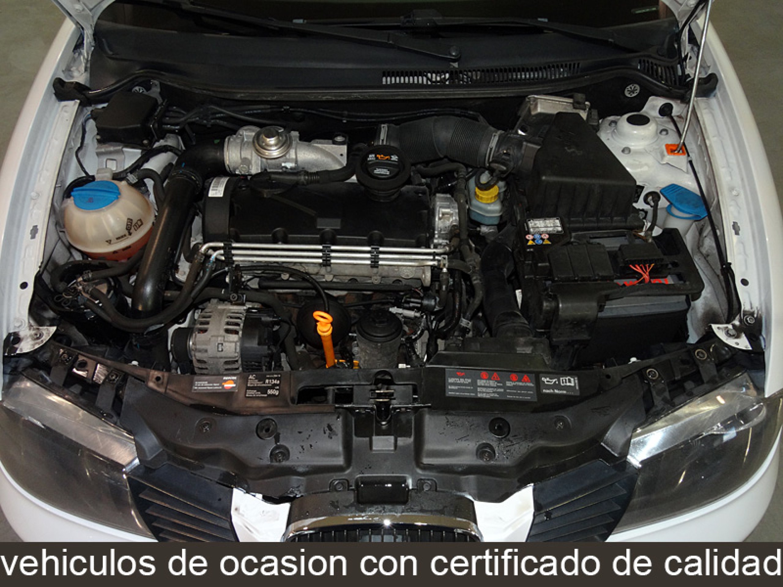 Foto Seat Ibiza 8